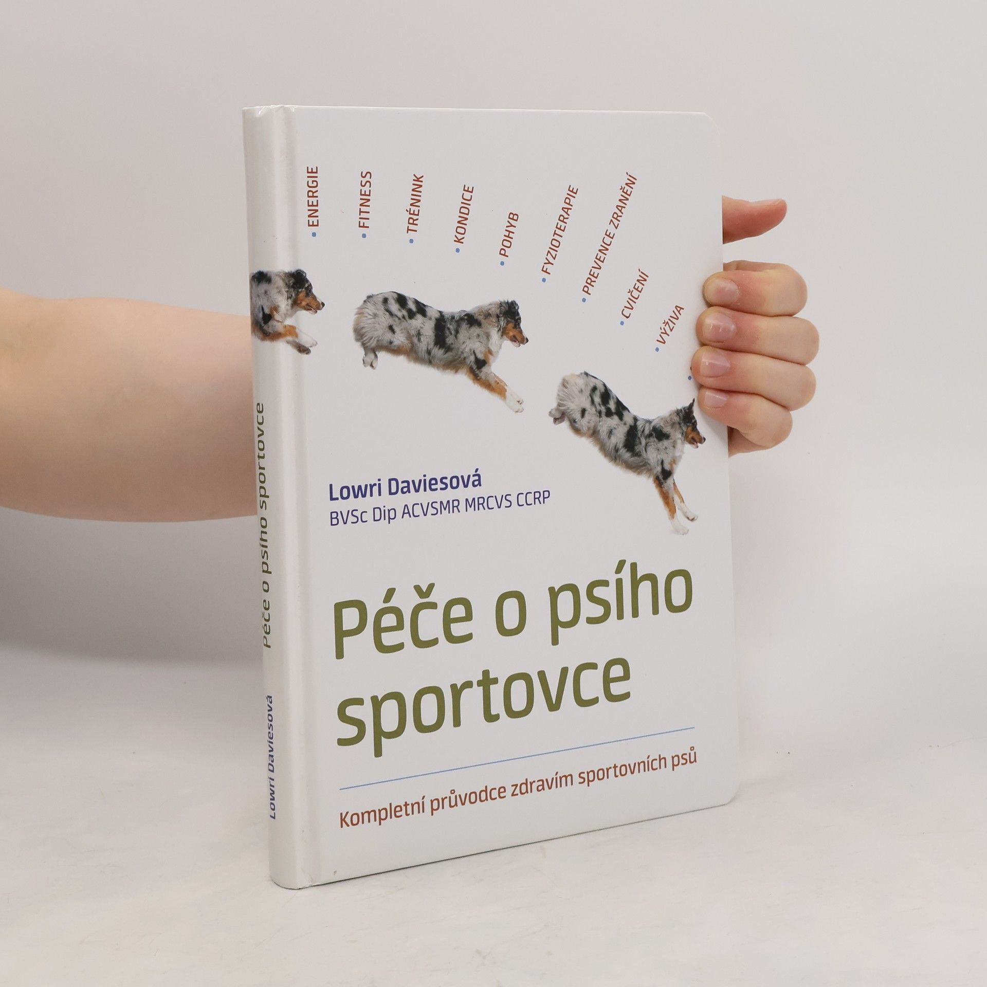 Lowri Davies Péče o psího sportovce