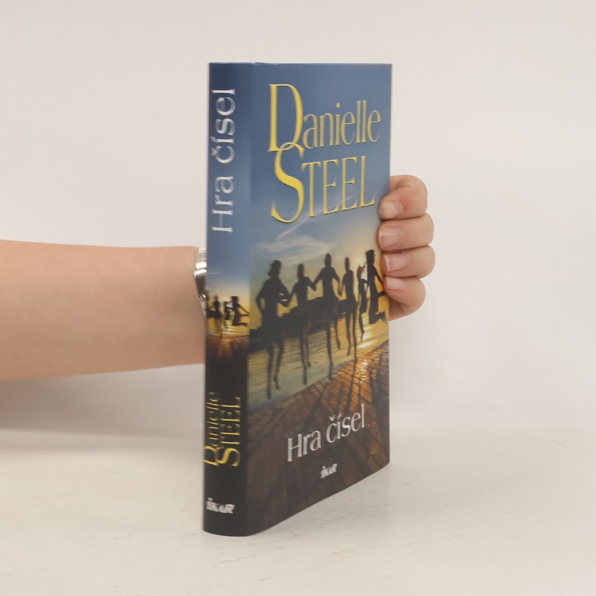 Danielle Steel Hra čísel