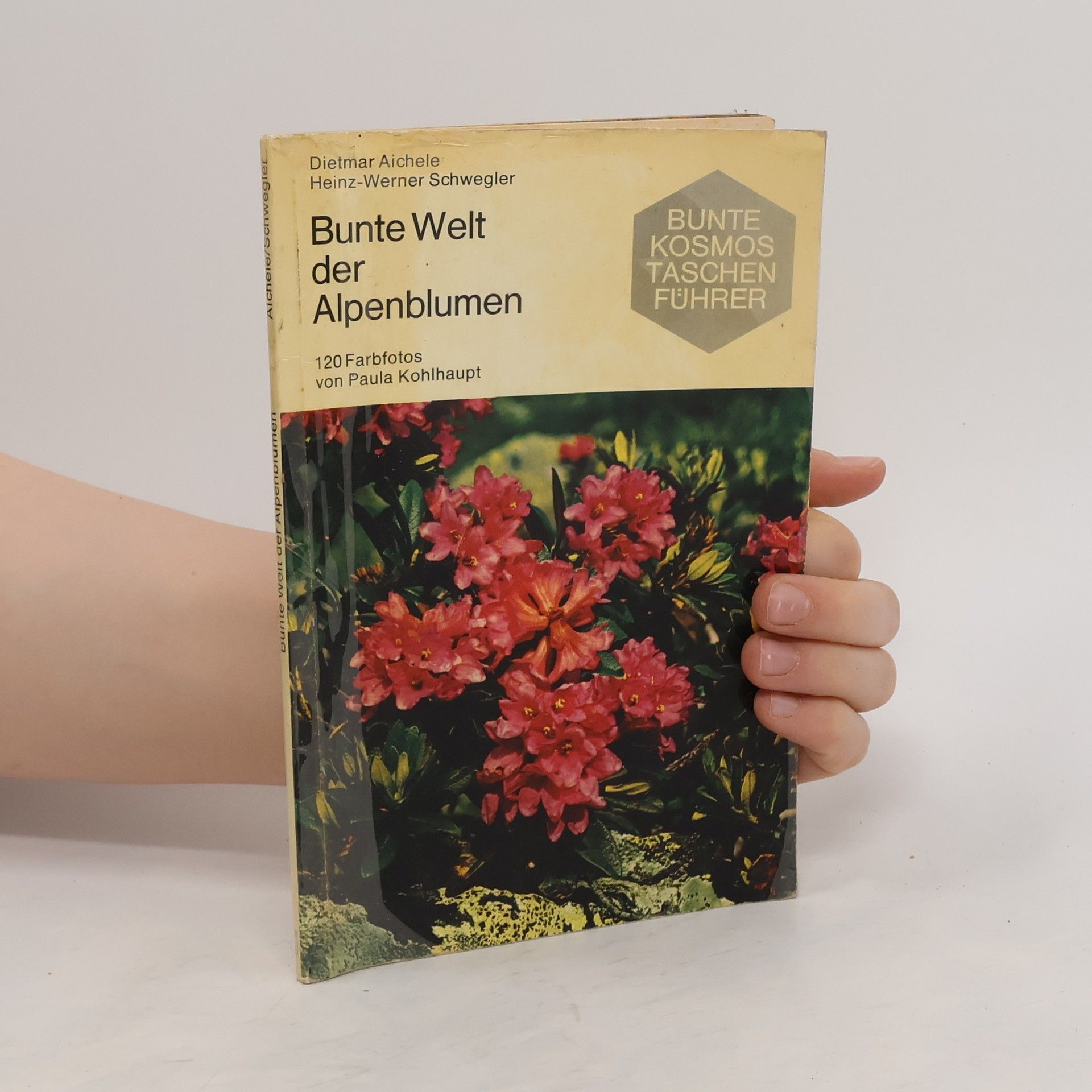 Dietmar Ernst Aichele Bunte Welt der Alpenblumen