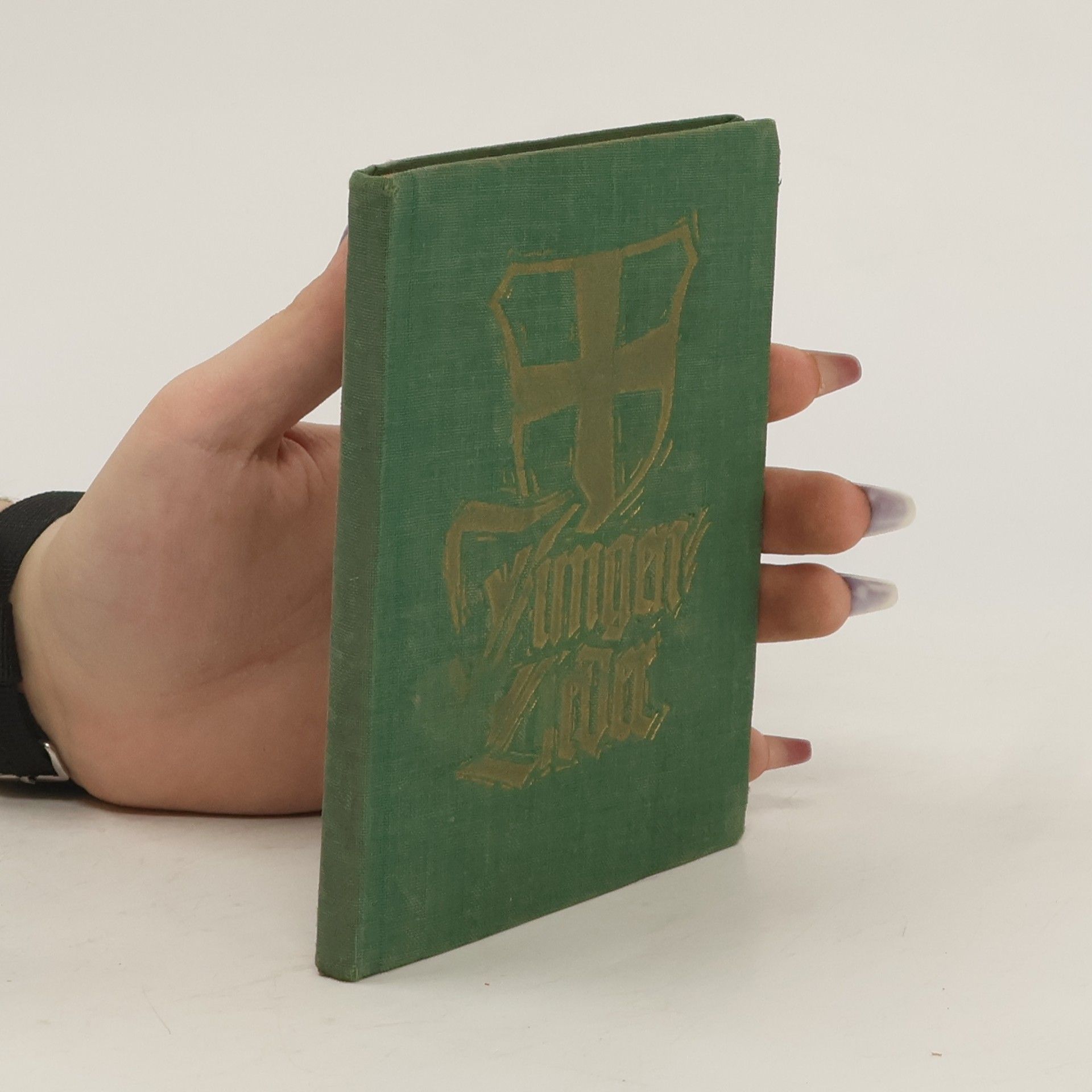 Collectif d'auteurs Jungenlieder