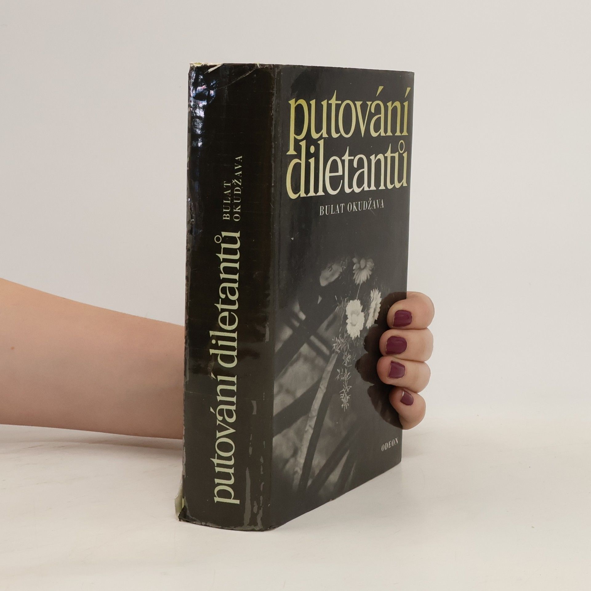 Ludmila Dušková Putování diletantů