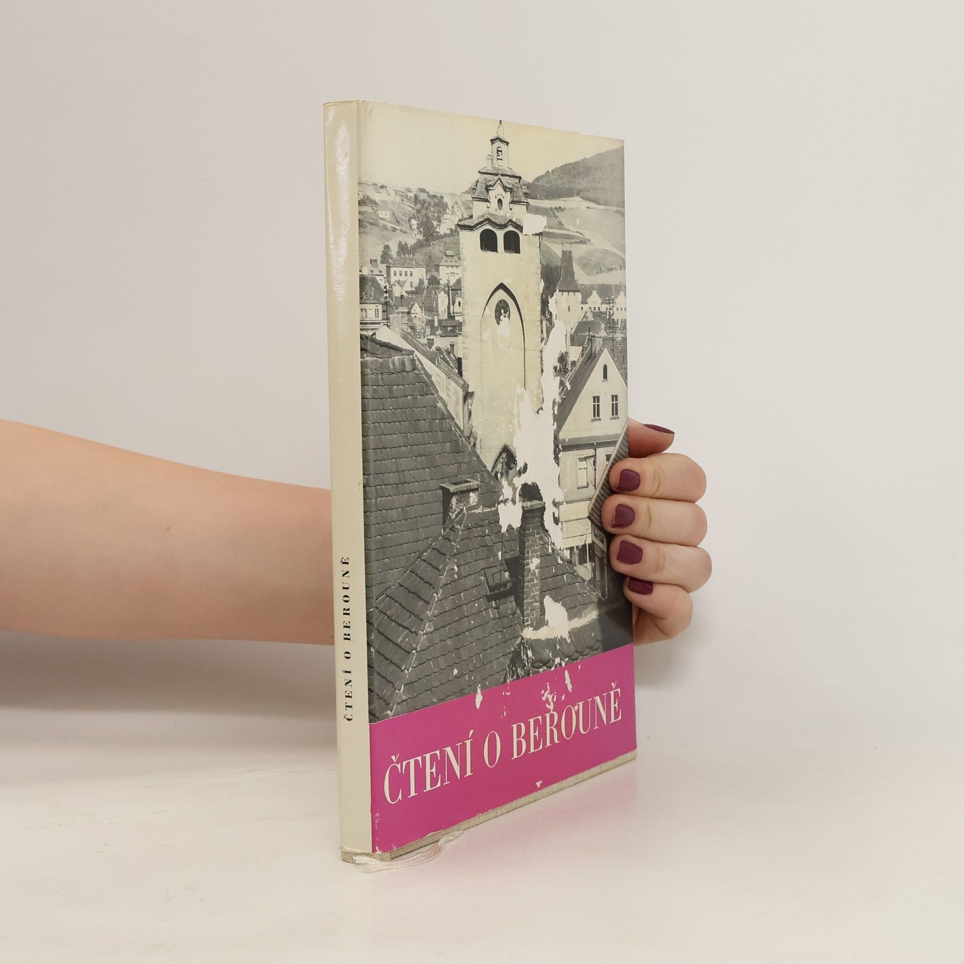 Ludvík Páleníček Čtení o Berouně 1265-1965