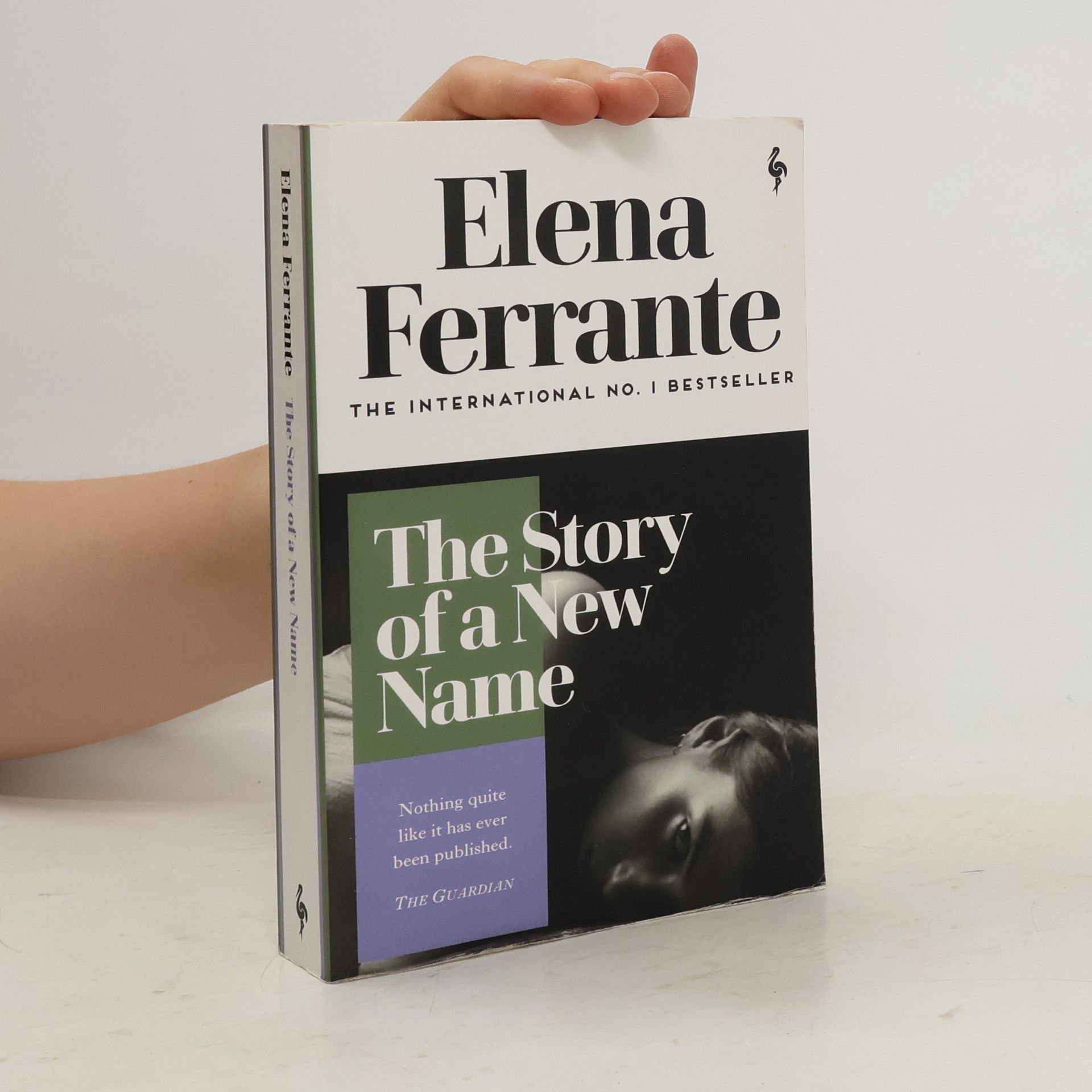 Elena Ferrante The Story of a New Name