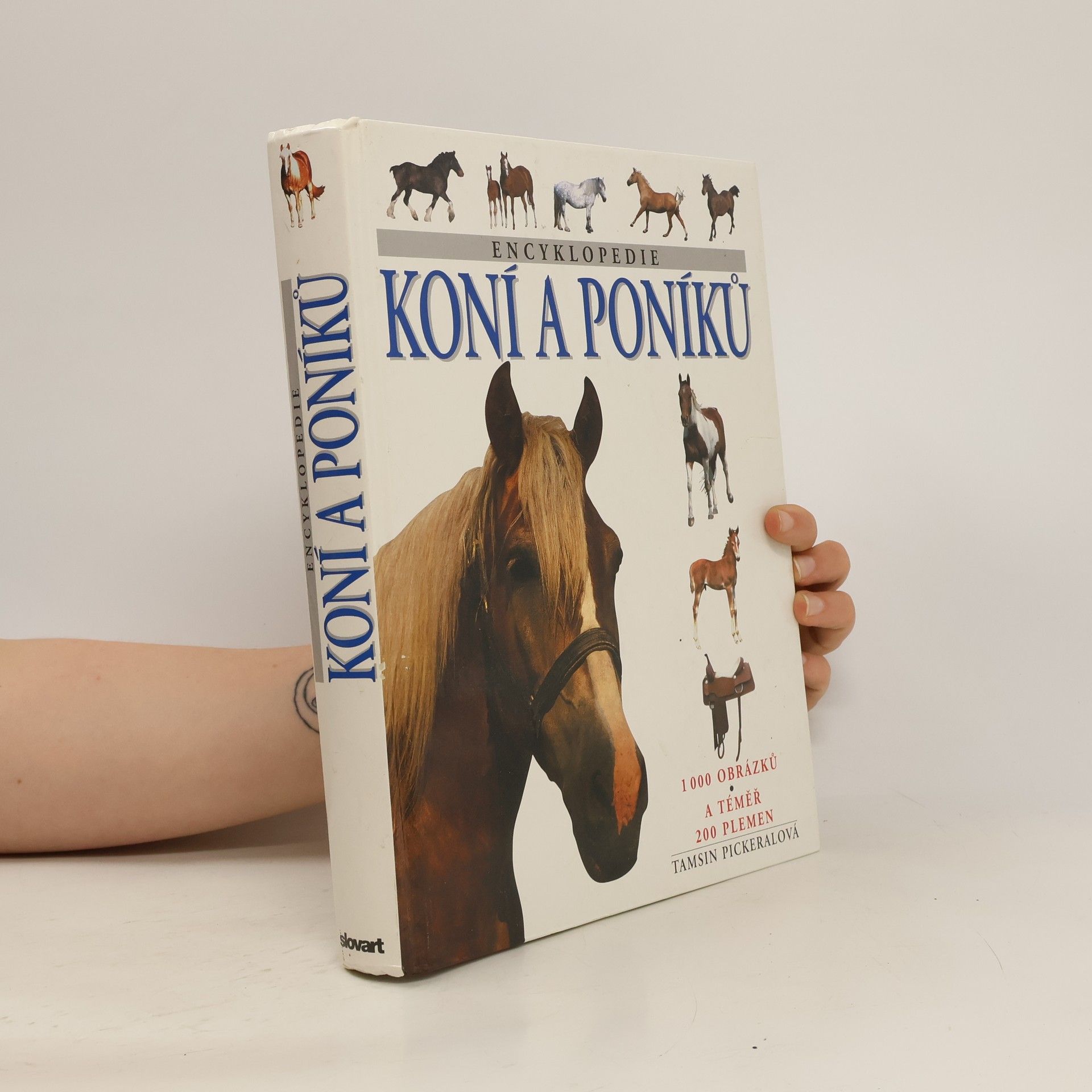 Tamsin Pickeral Encyklopedie koní a poníků