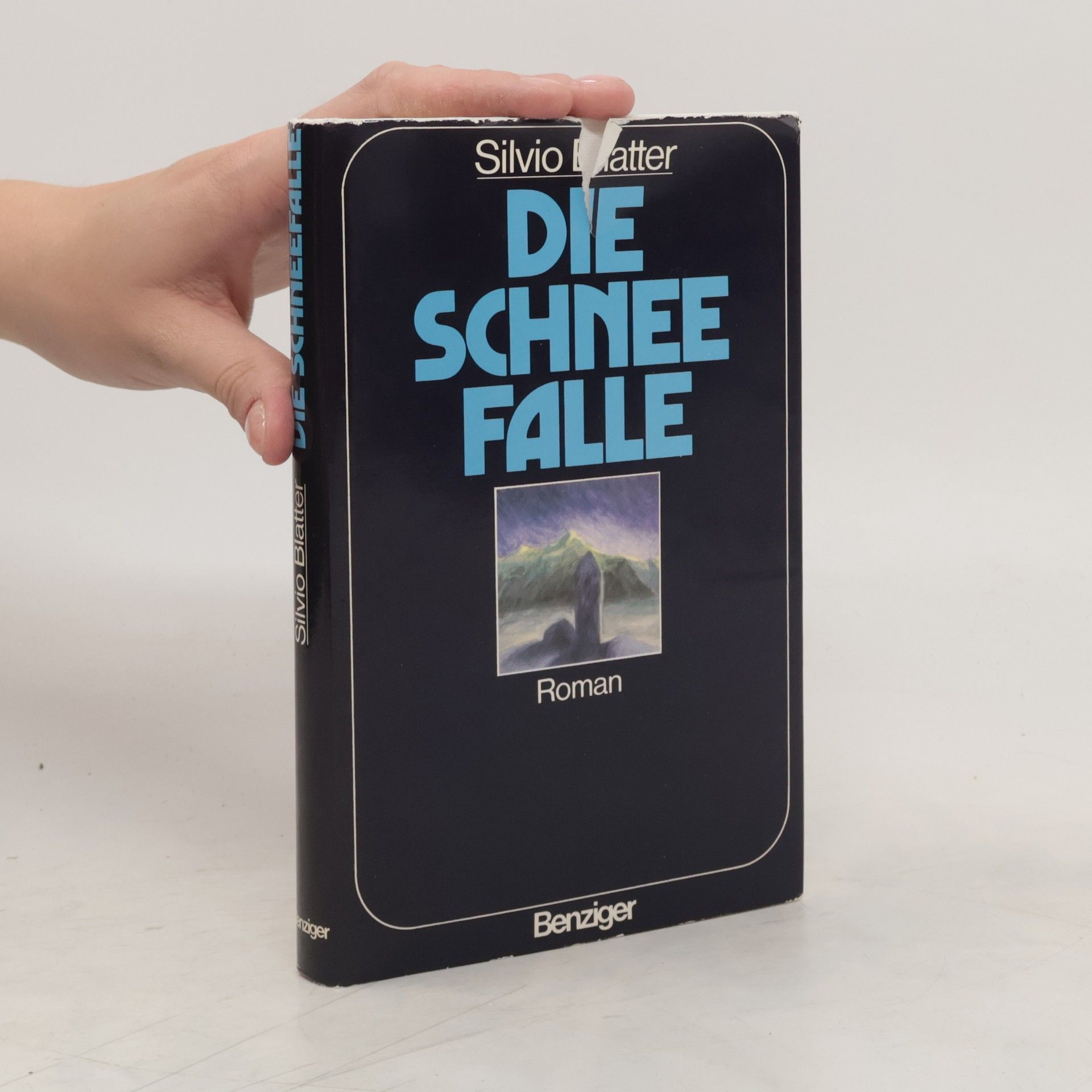 Silvio Blatter Die Schneefalle