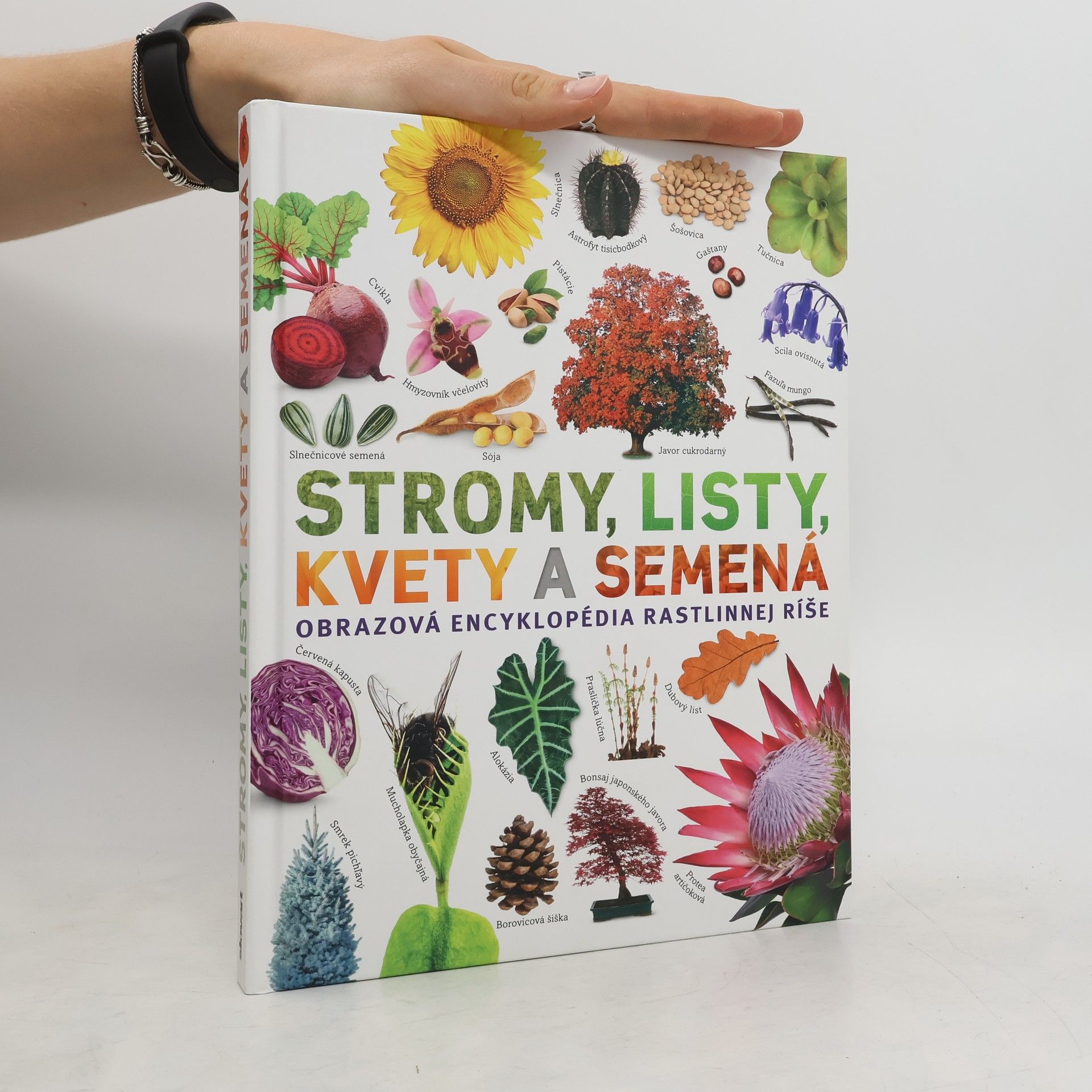 Sarah Jose Stromy, listy, kvety a semená
