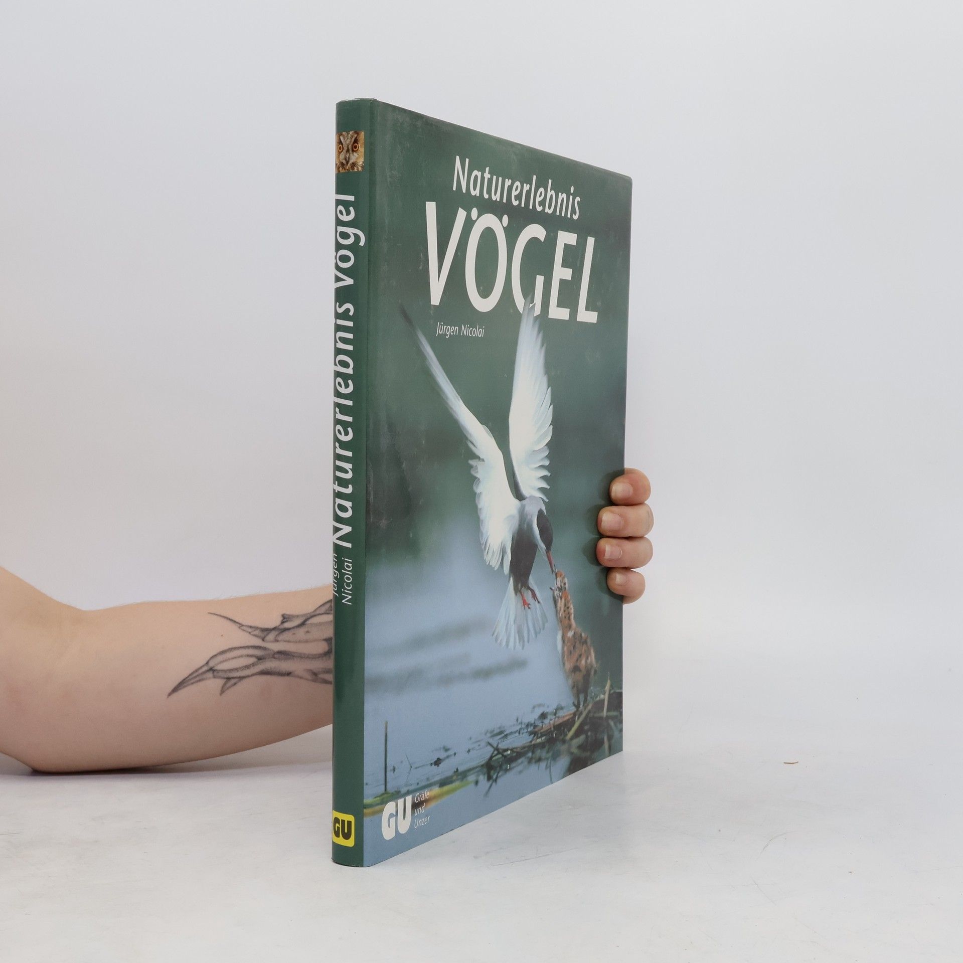 Jürgen Nicolai Naturerlebnis Vögel