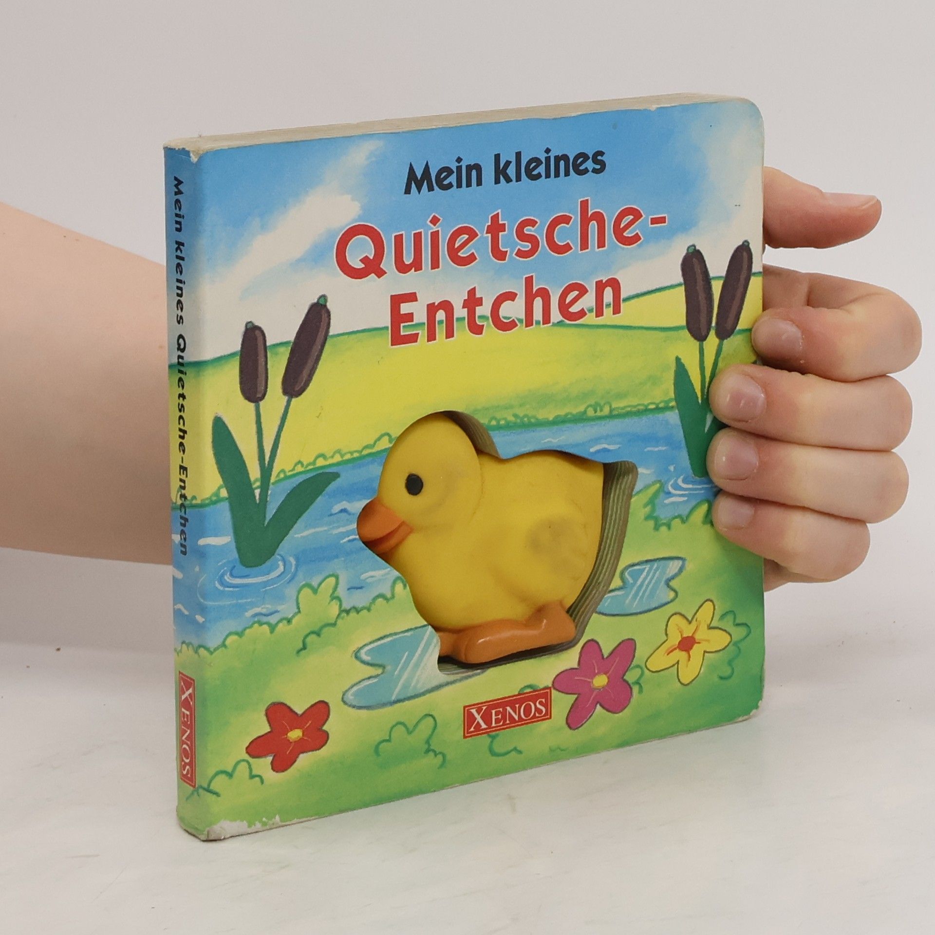 Collectif d'auteurs Mein kleines Quietsche-Entchen