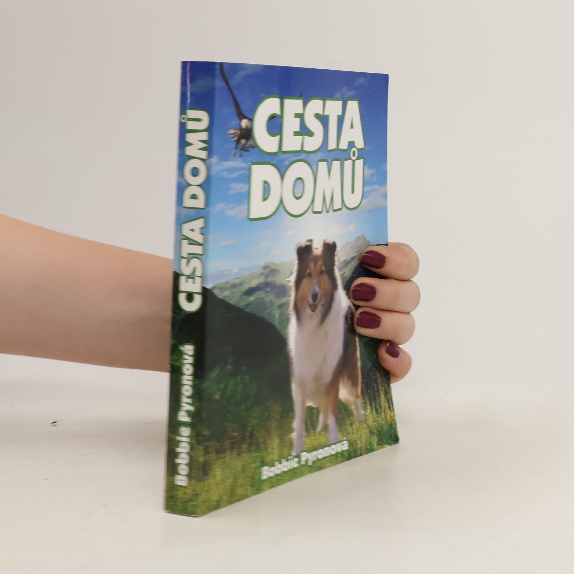 Bobbie Pyron Cesta domů
