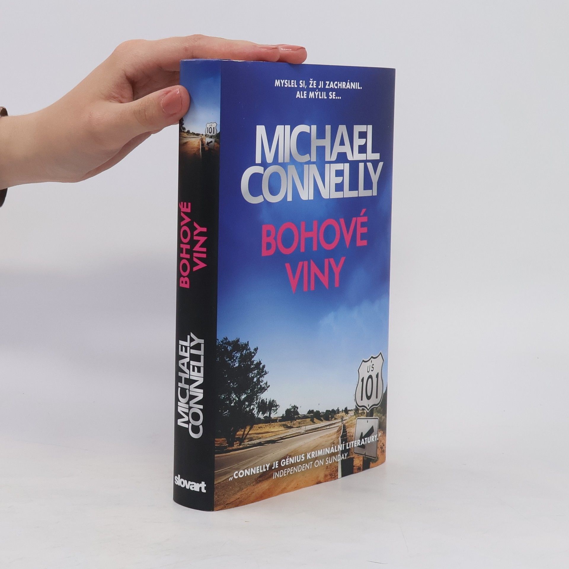 Michael Connelly Bohové viny