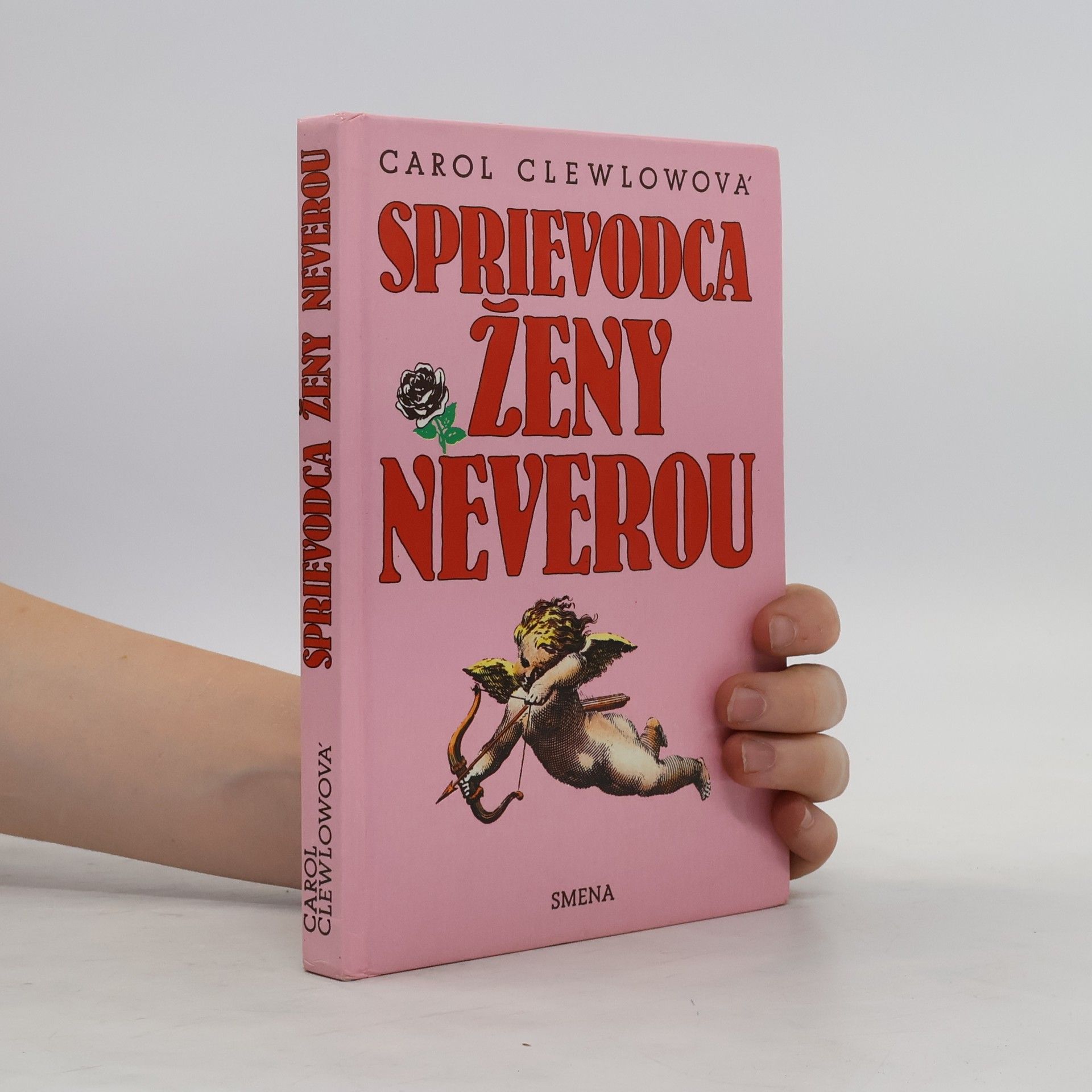 Carol Clewlow Sprievodca ženy neverou