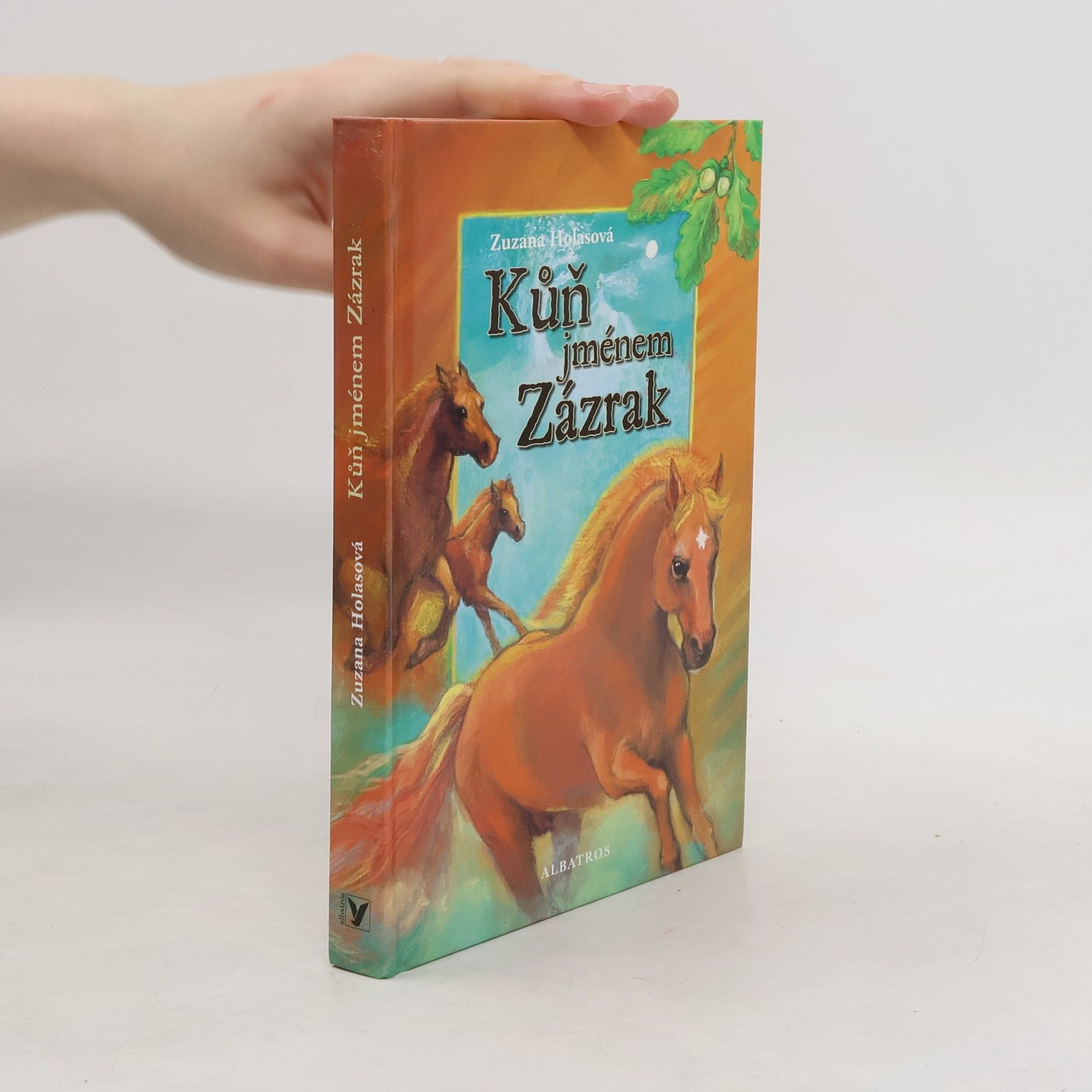 Zuzana Holasová Kůň jménem Zázrak