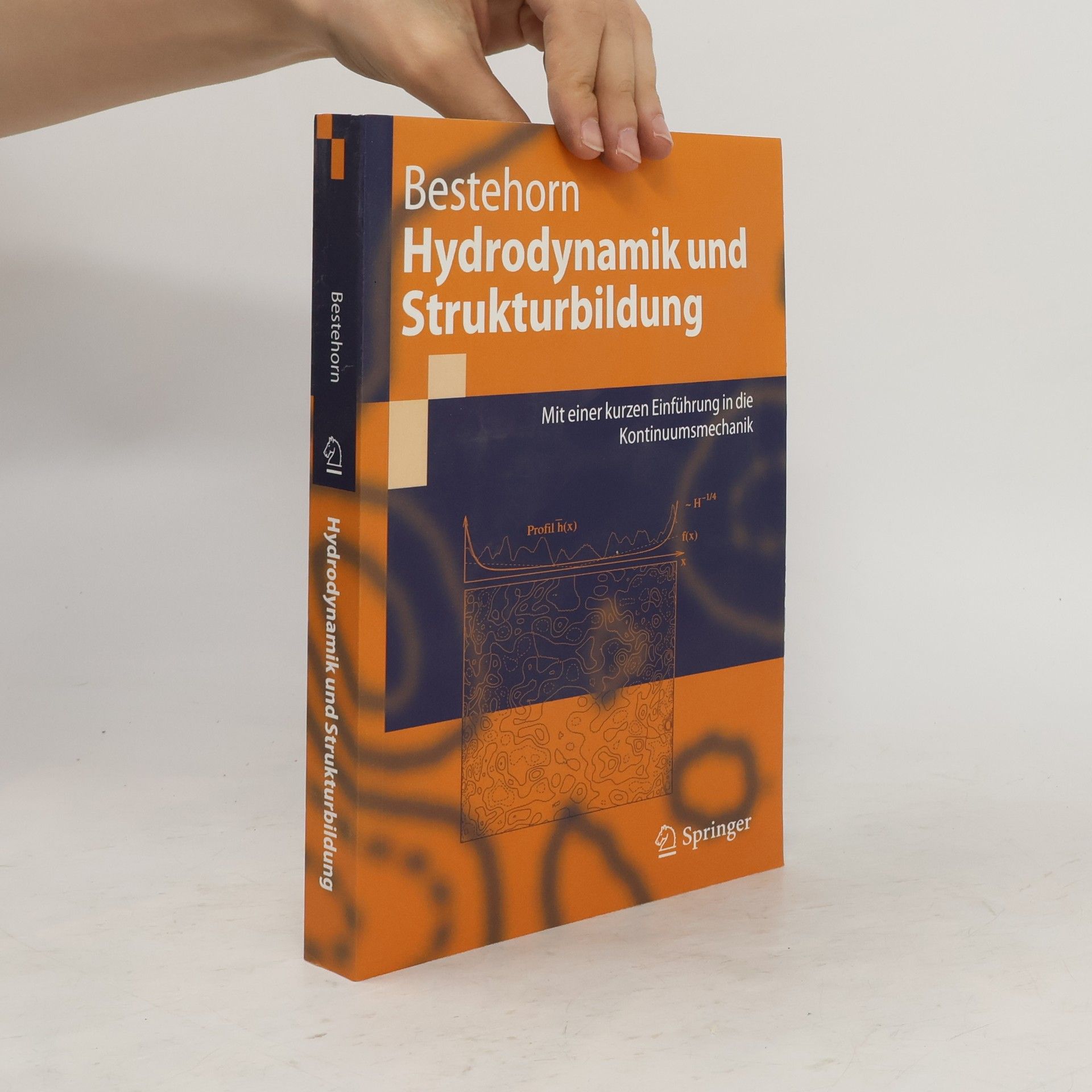 Michael Bestehorn Hydrodynamik und Strukturbildung