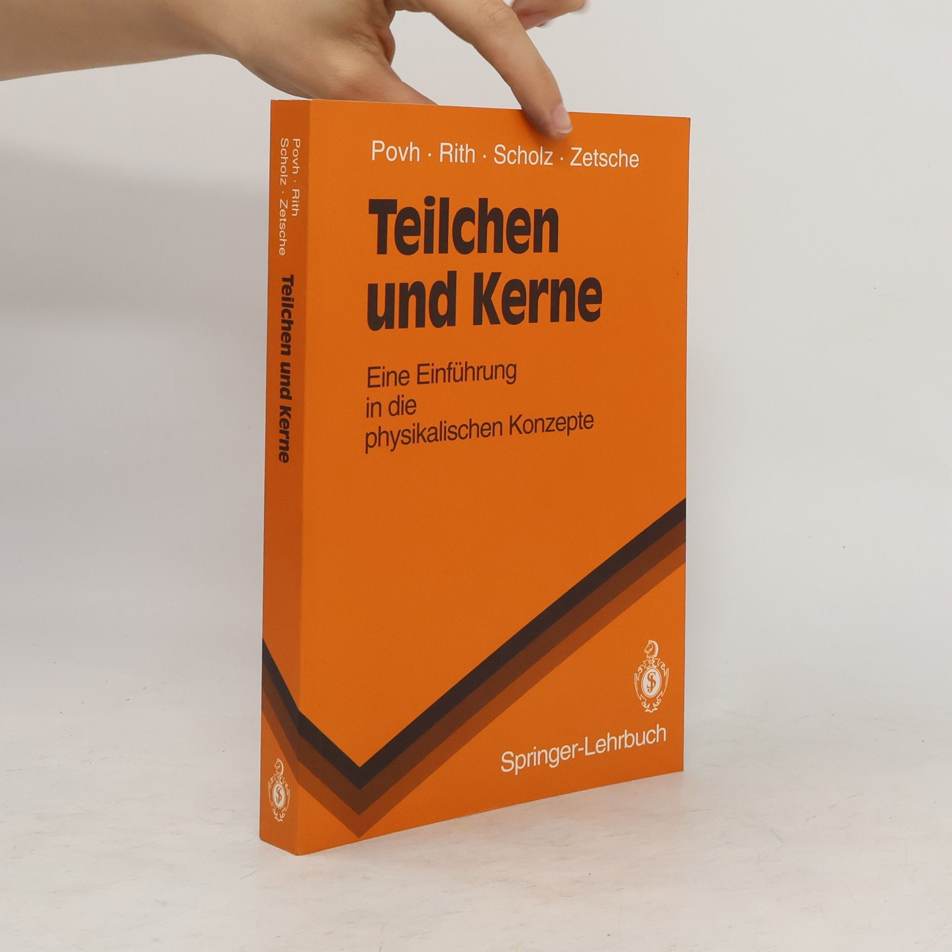 Bogdan Povh Teilchen und Kerne