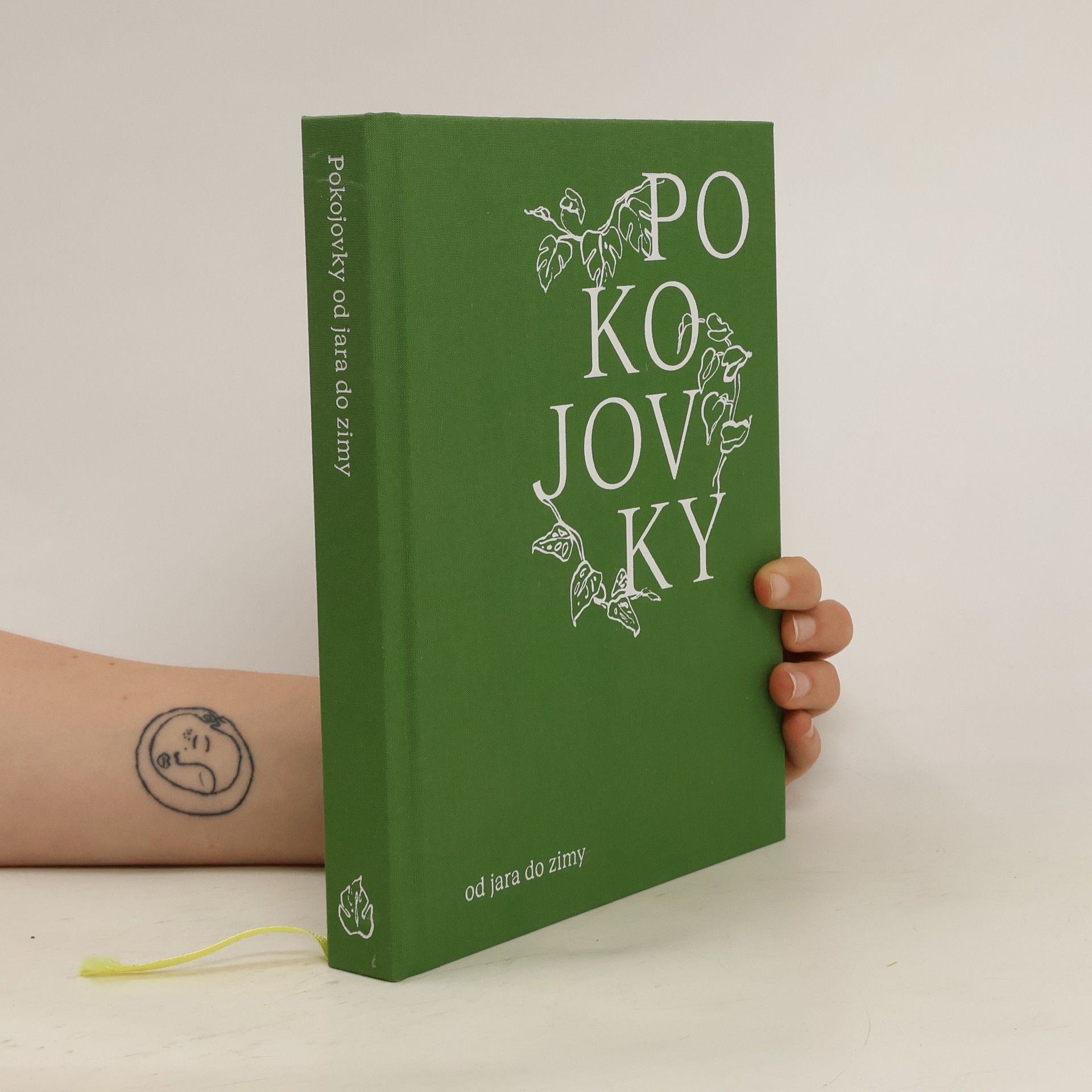 Aneta Vachová Pokojovky od jara do zimy