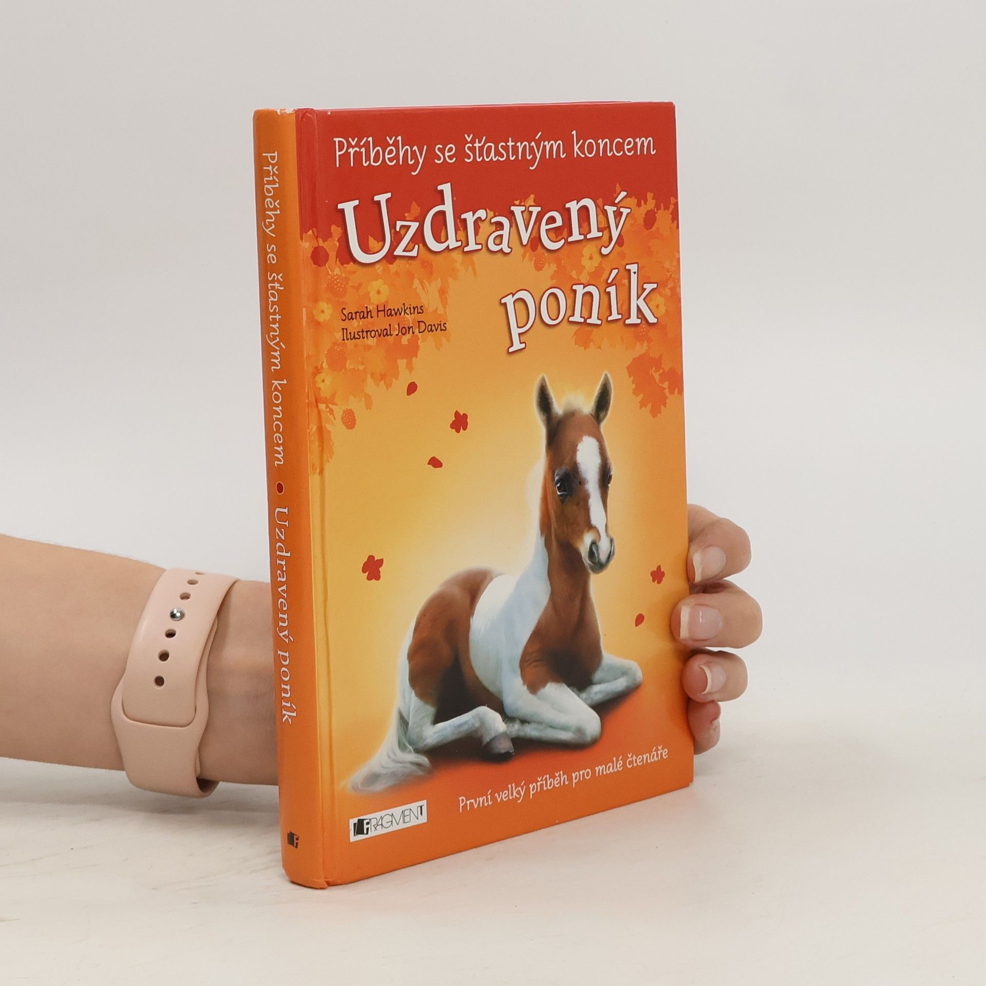 Eva Brožová Uzdravený poník