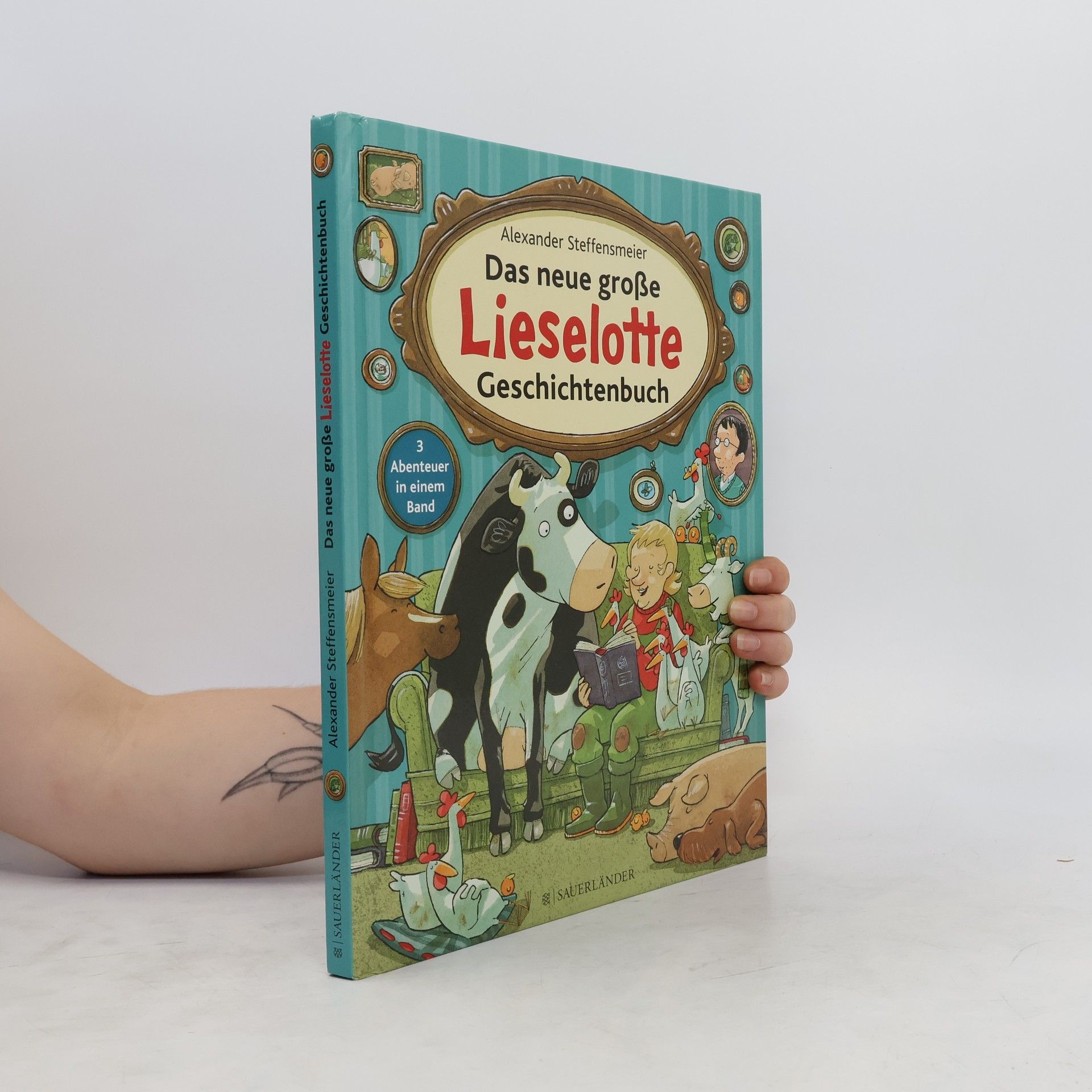 Alexander Steffensmeier Das neue große Lieselotte Geschichtenbuch