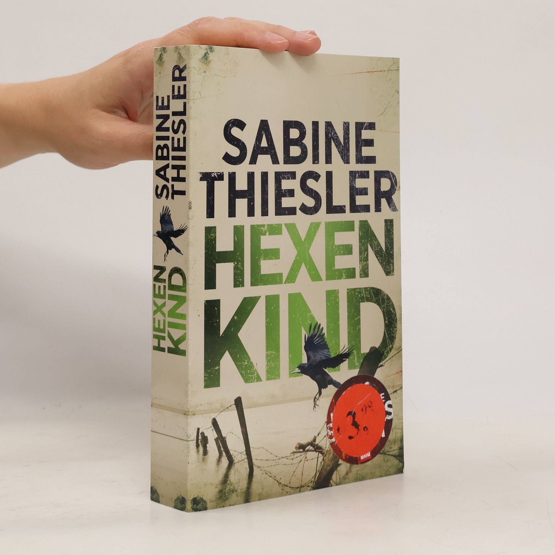 Sabine Thiesler Hexenkind
