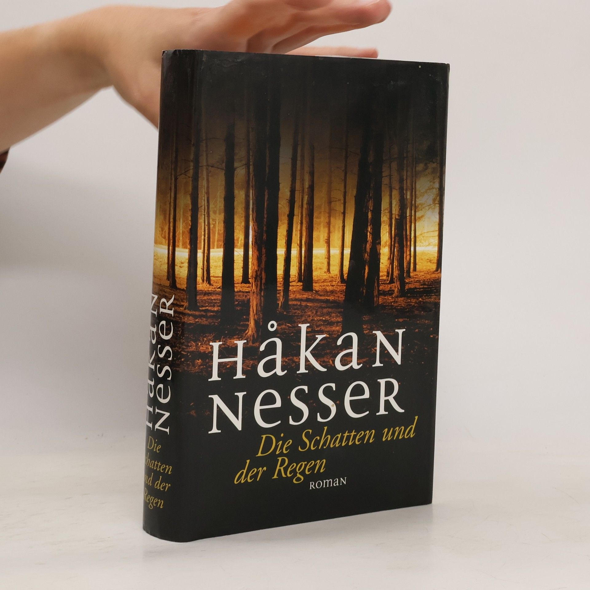 Håkan Nesser Die Schatten und der Regen