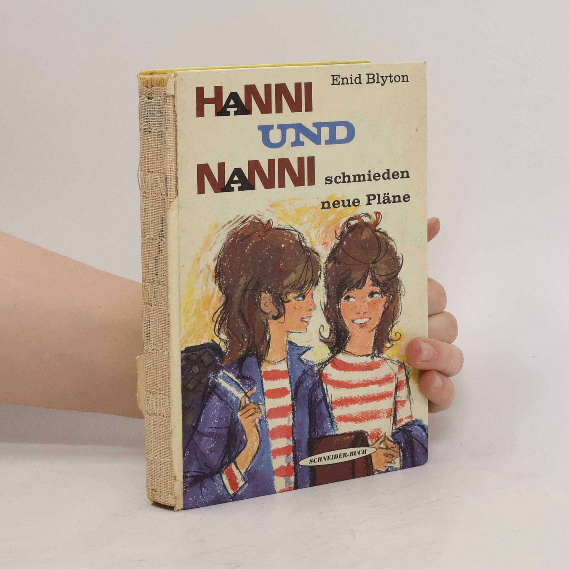 Enid Blyton Hanni und Nanni schmieden neue Pläne