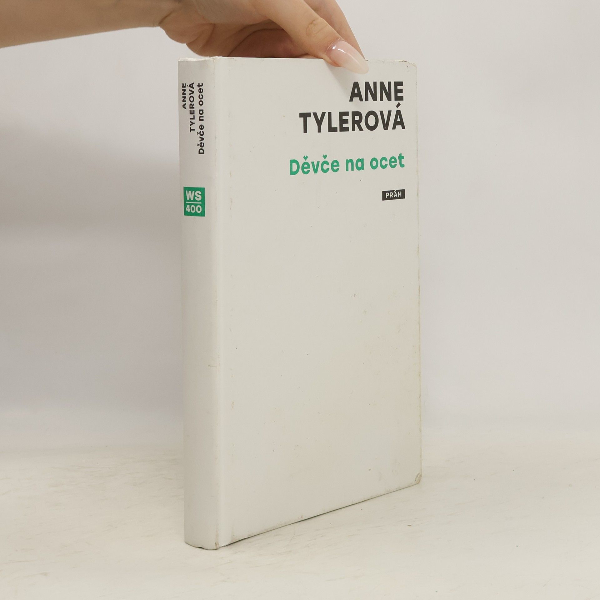 Anne Tyler Děvče na ocet