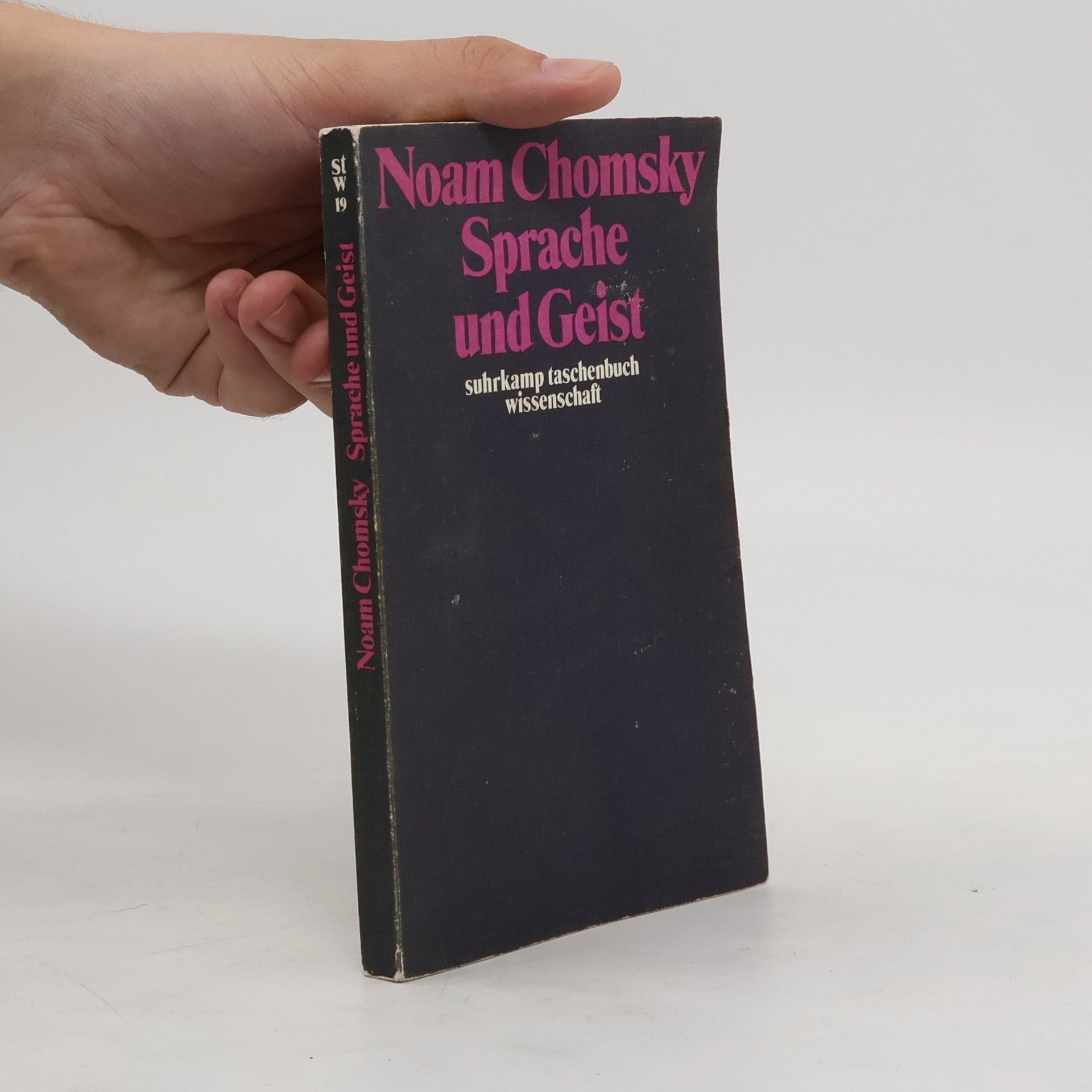 Noam Chomsky Sprache und Geist