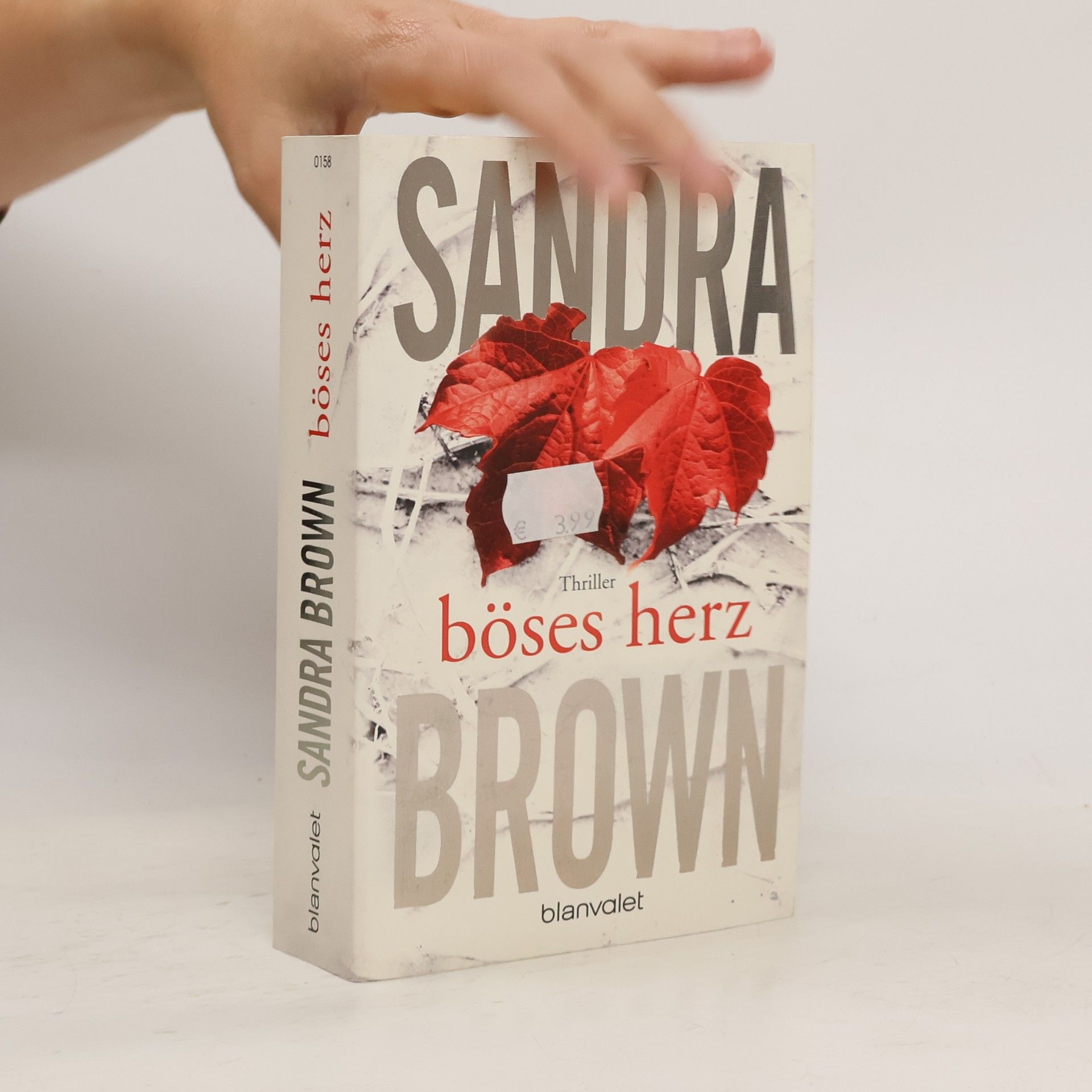 Sandra Brown Böses Herz