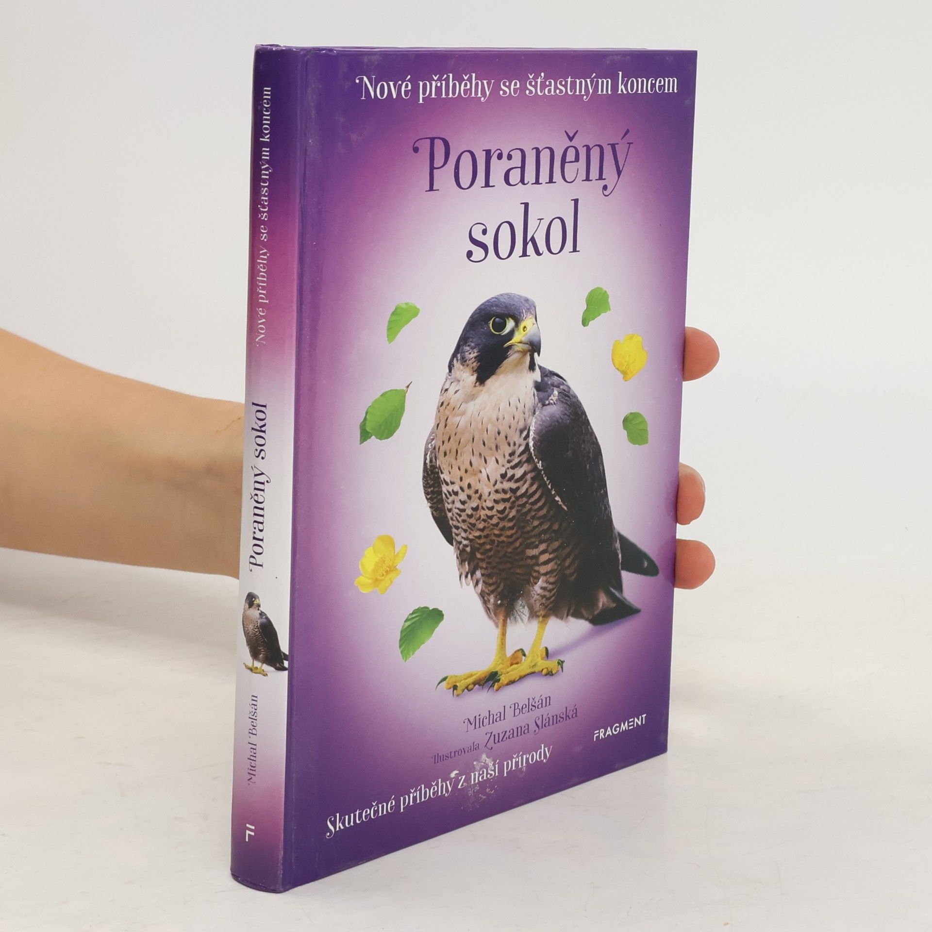 Michal Belšán Poraněný sokol