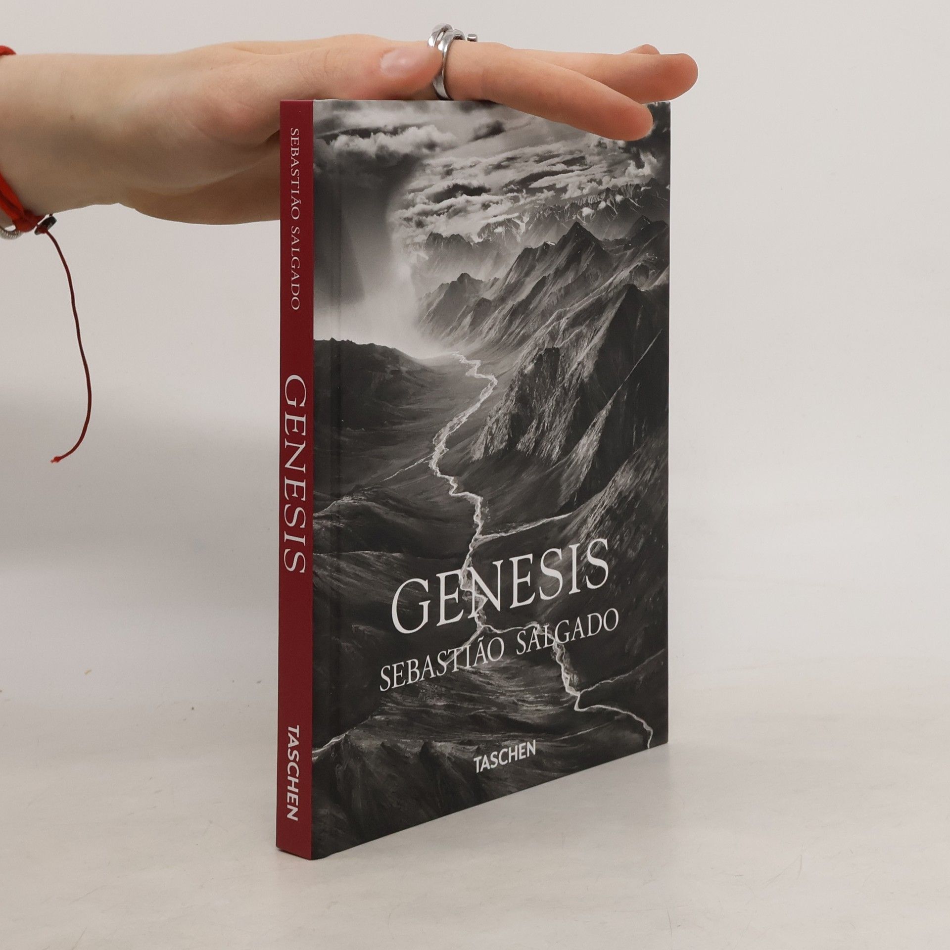 Sebastião Salgado Genesis