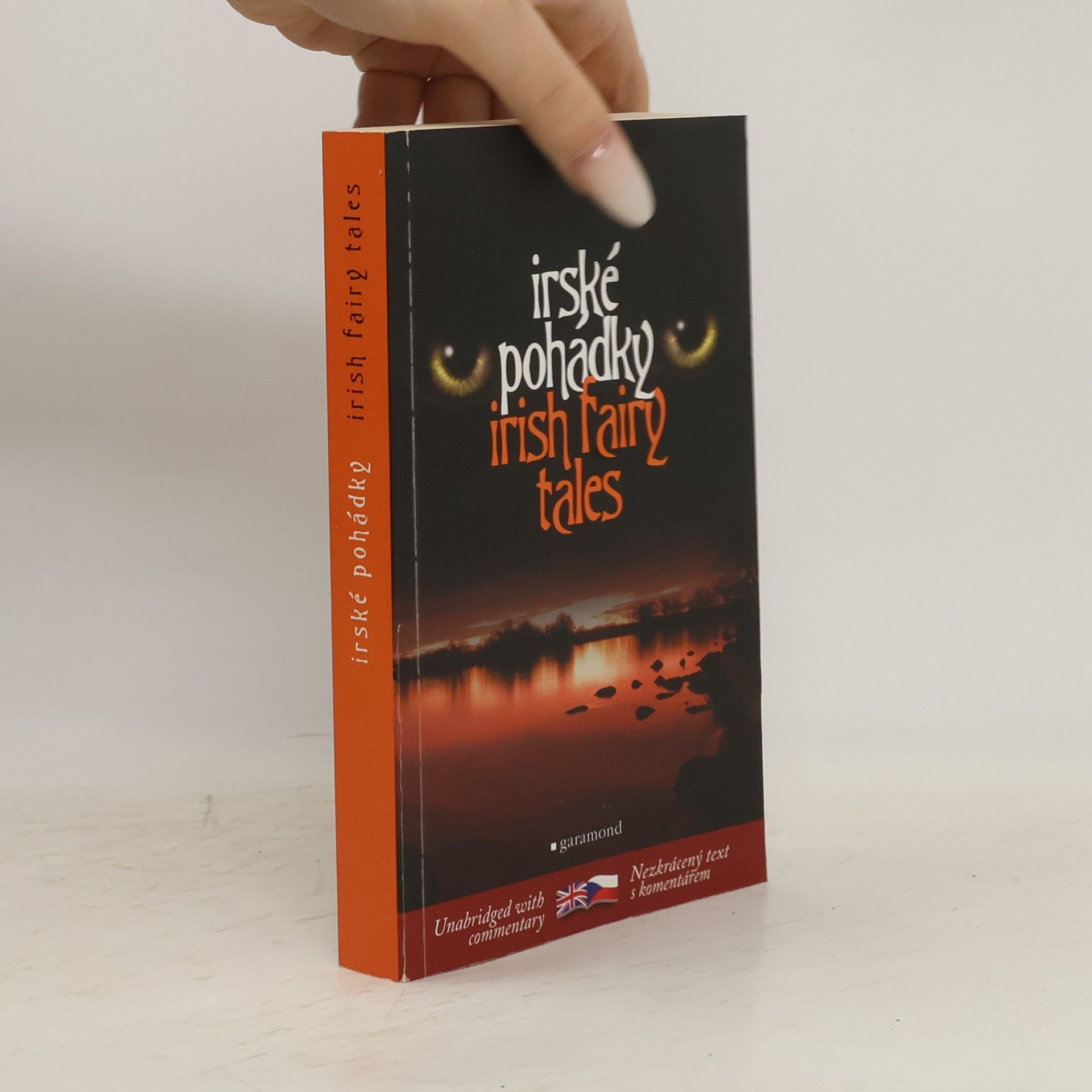 Lukáš Houdek Irish fairy tales = Irské pohádky