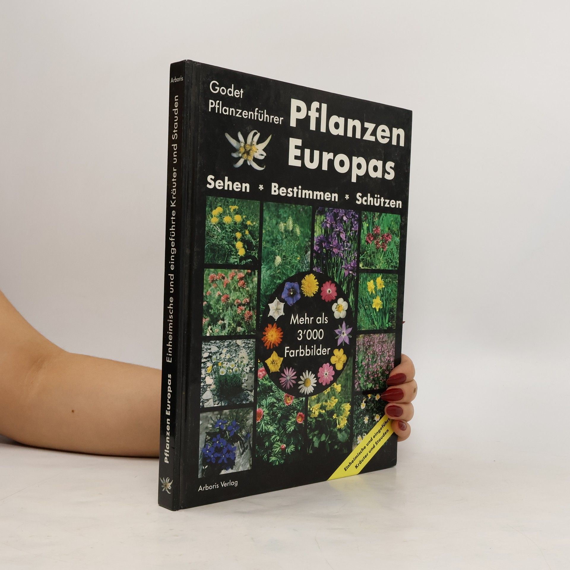Collectif d'auteurs Pflanzen Europas
