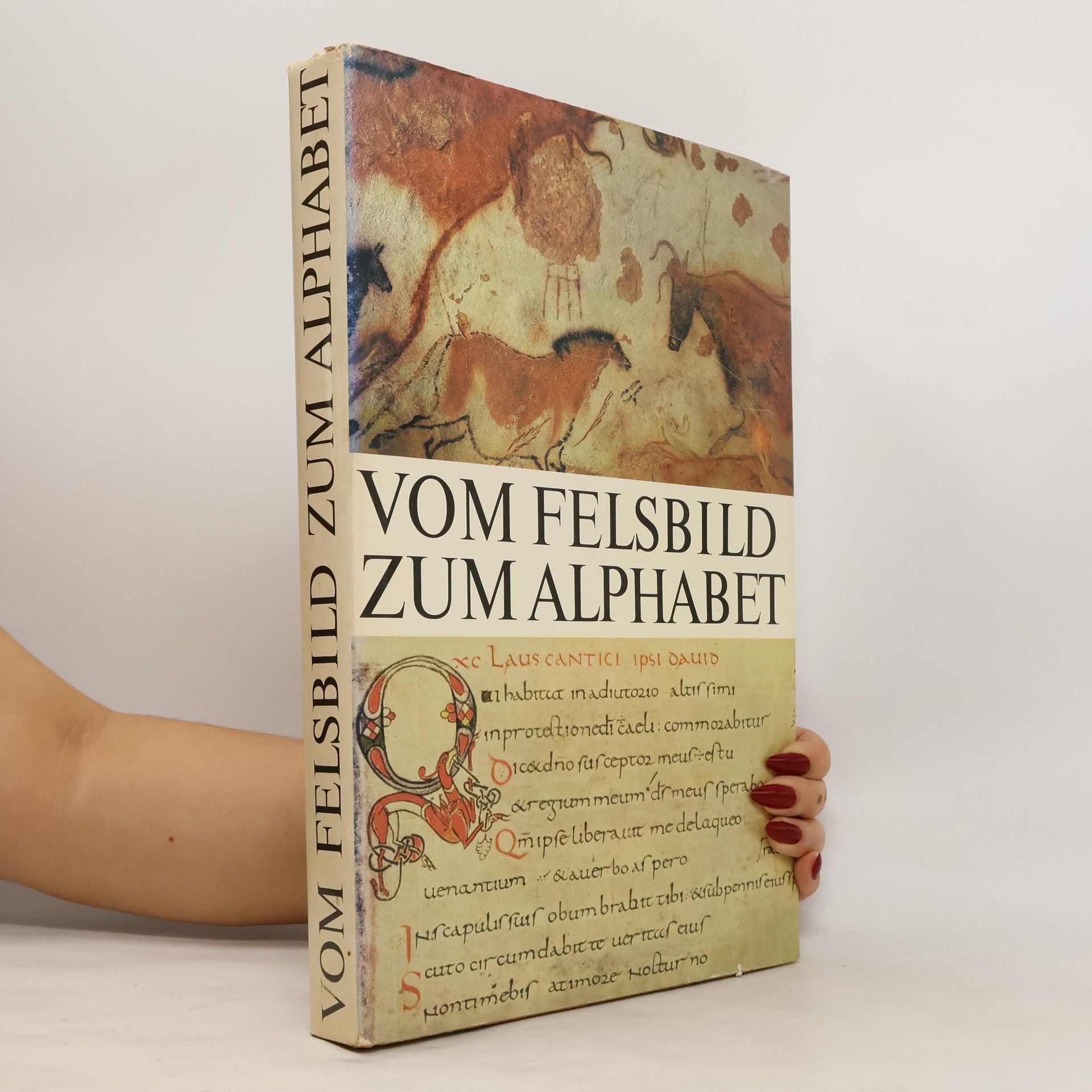 Károly Földes-Papp Vom Felsbild zum Alphabet