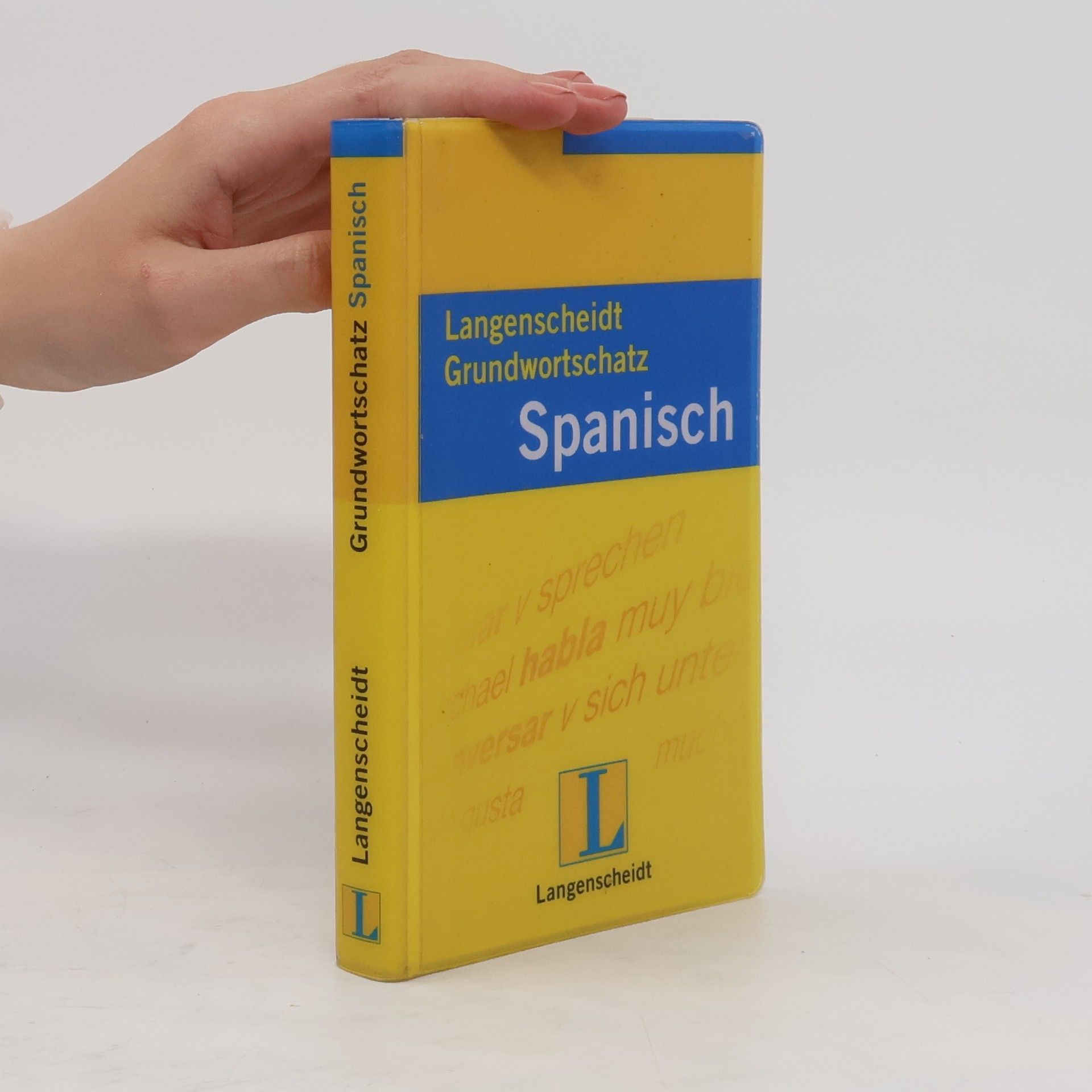 Patricia Sorin Langenscheidts Grundwortschatz Spanisch