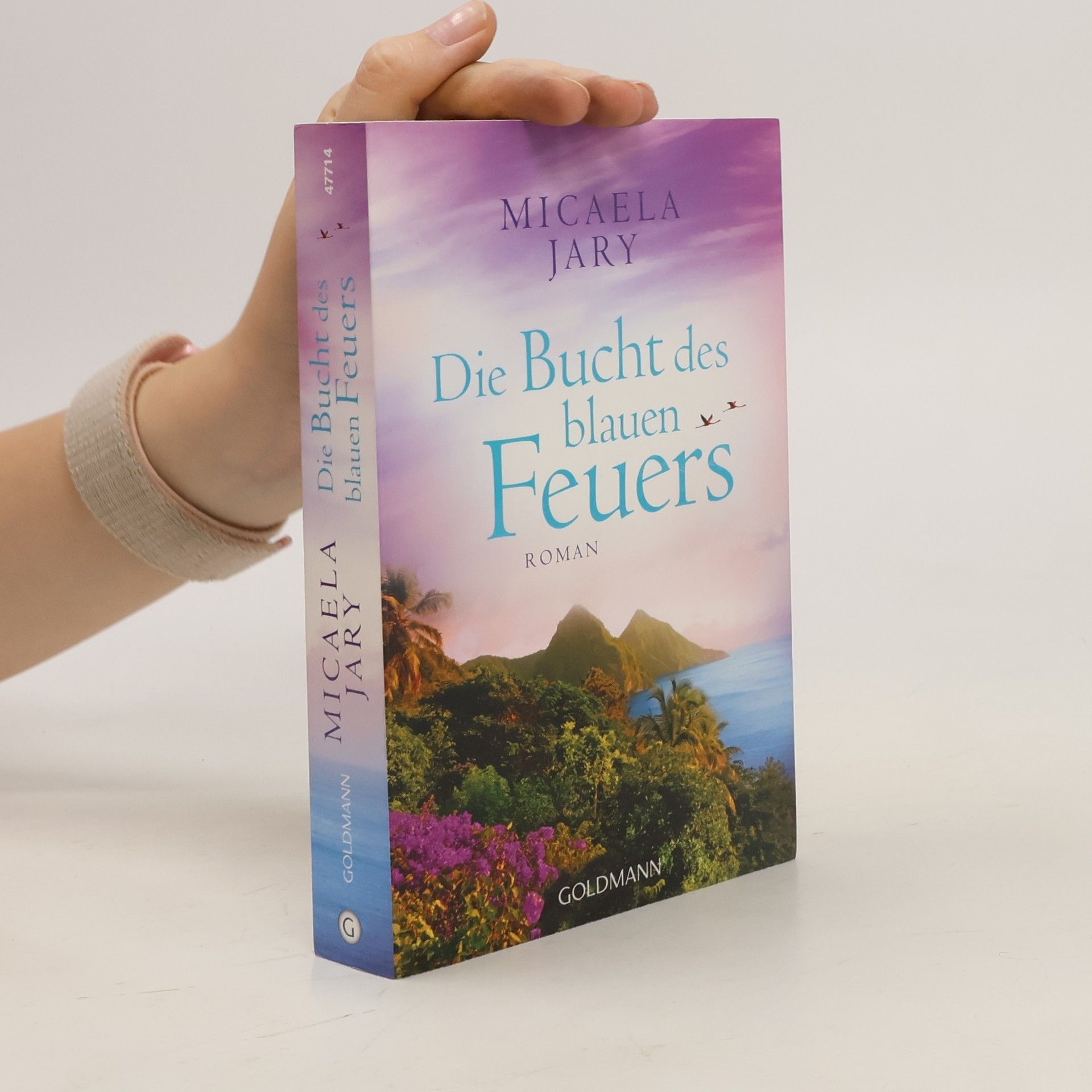 Micaela Jary Die Bucht des blauen Feuers