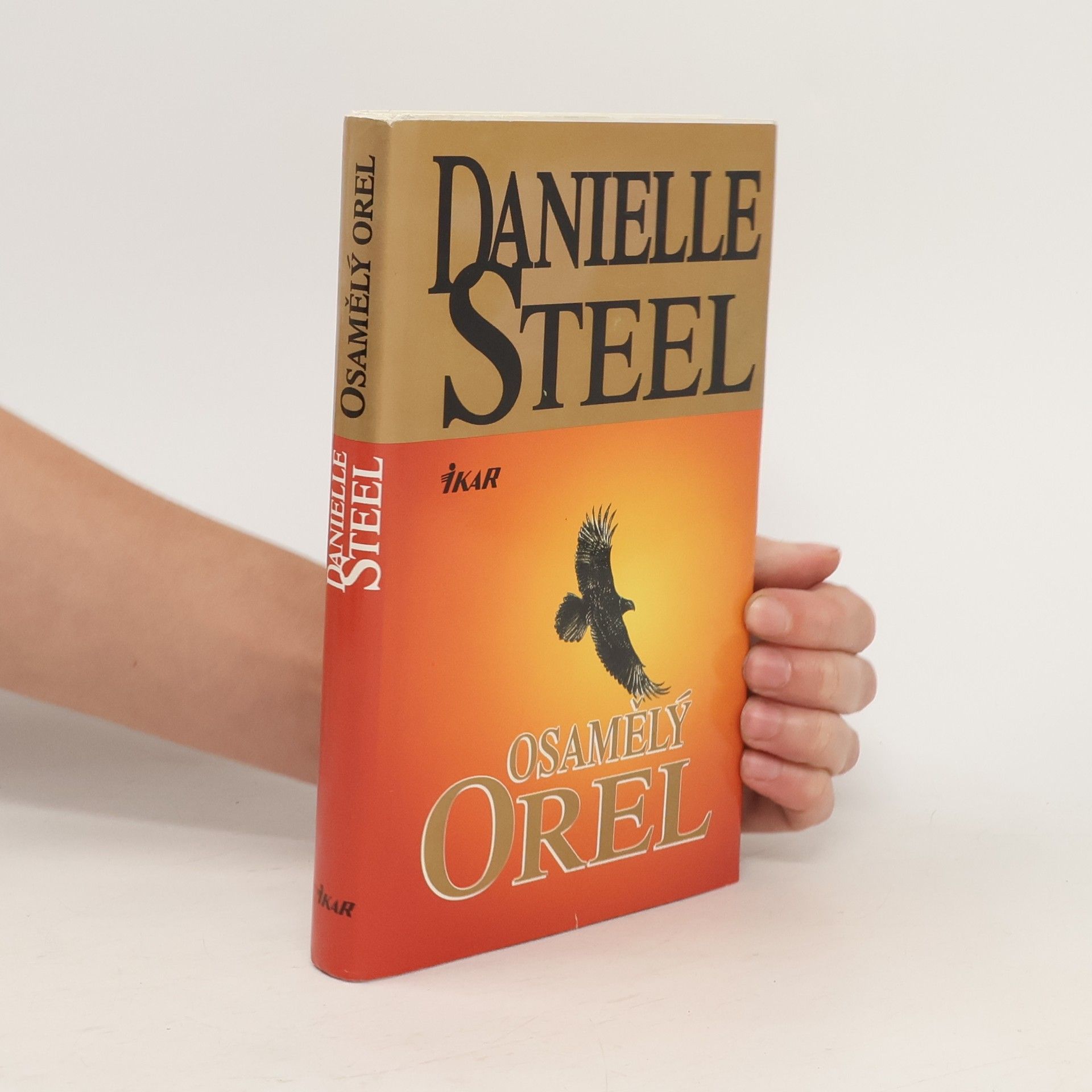 Danielle Steel Osamělý orel