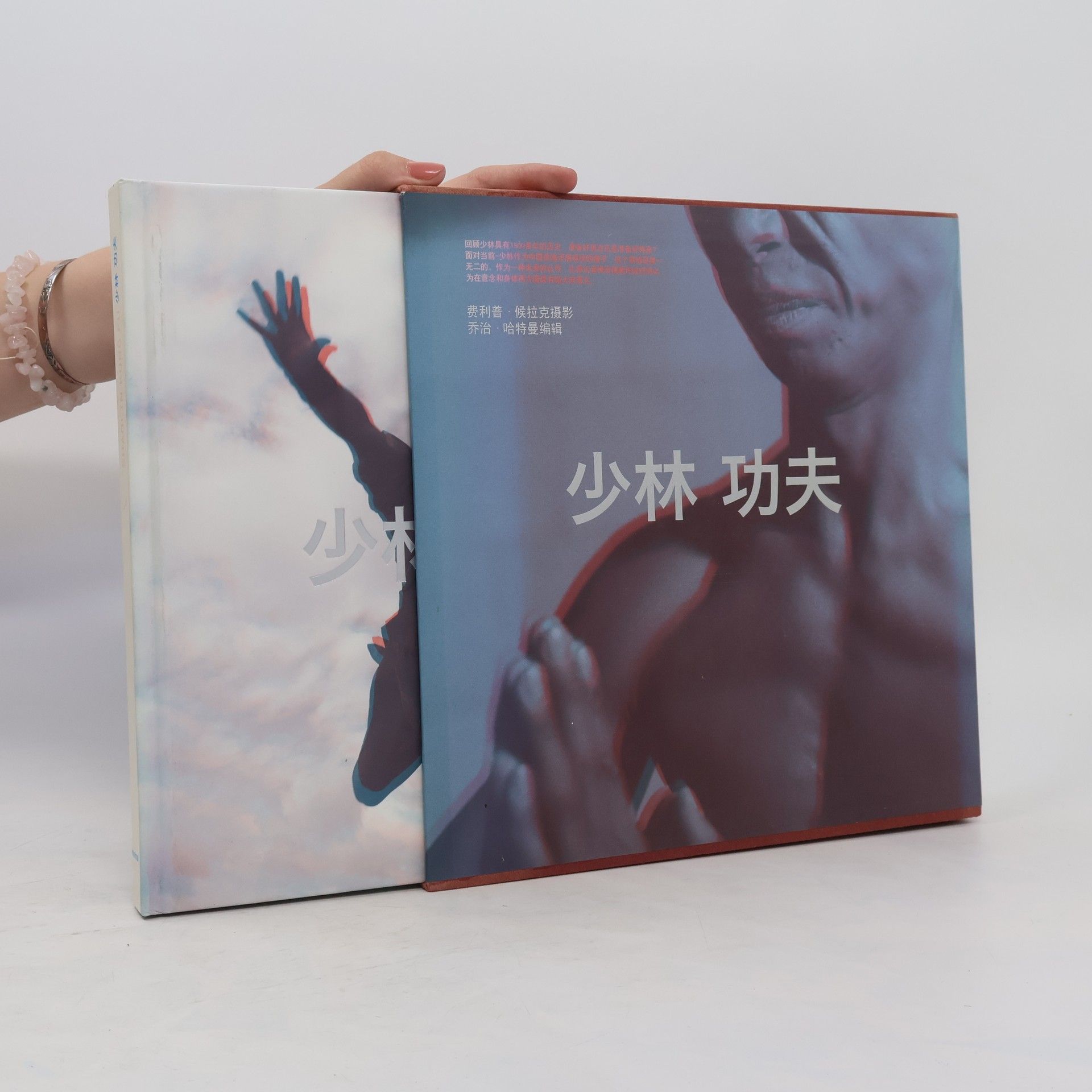 Philipp Horak 少林功夫. Shaolin Kung Fu