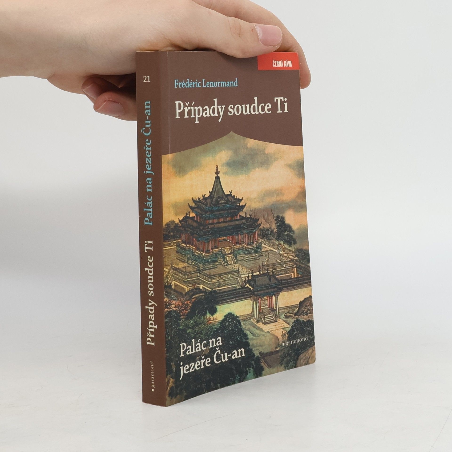 Frédéric Lenormand Případy soudce Ti: Palác na jezeře Ču-an
