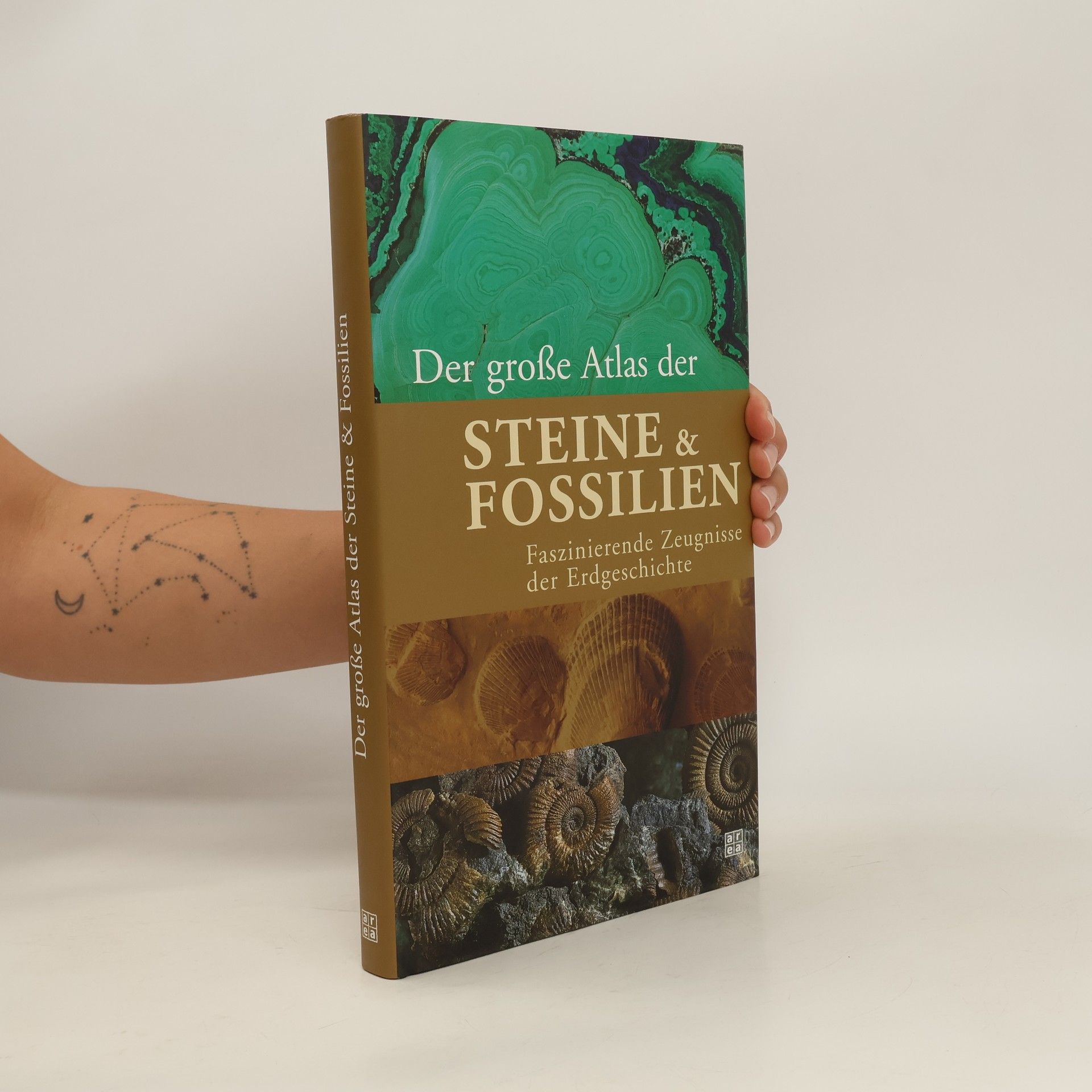Arthur Bresnahan Busbey Der große Atlas der Steine & Fossilien