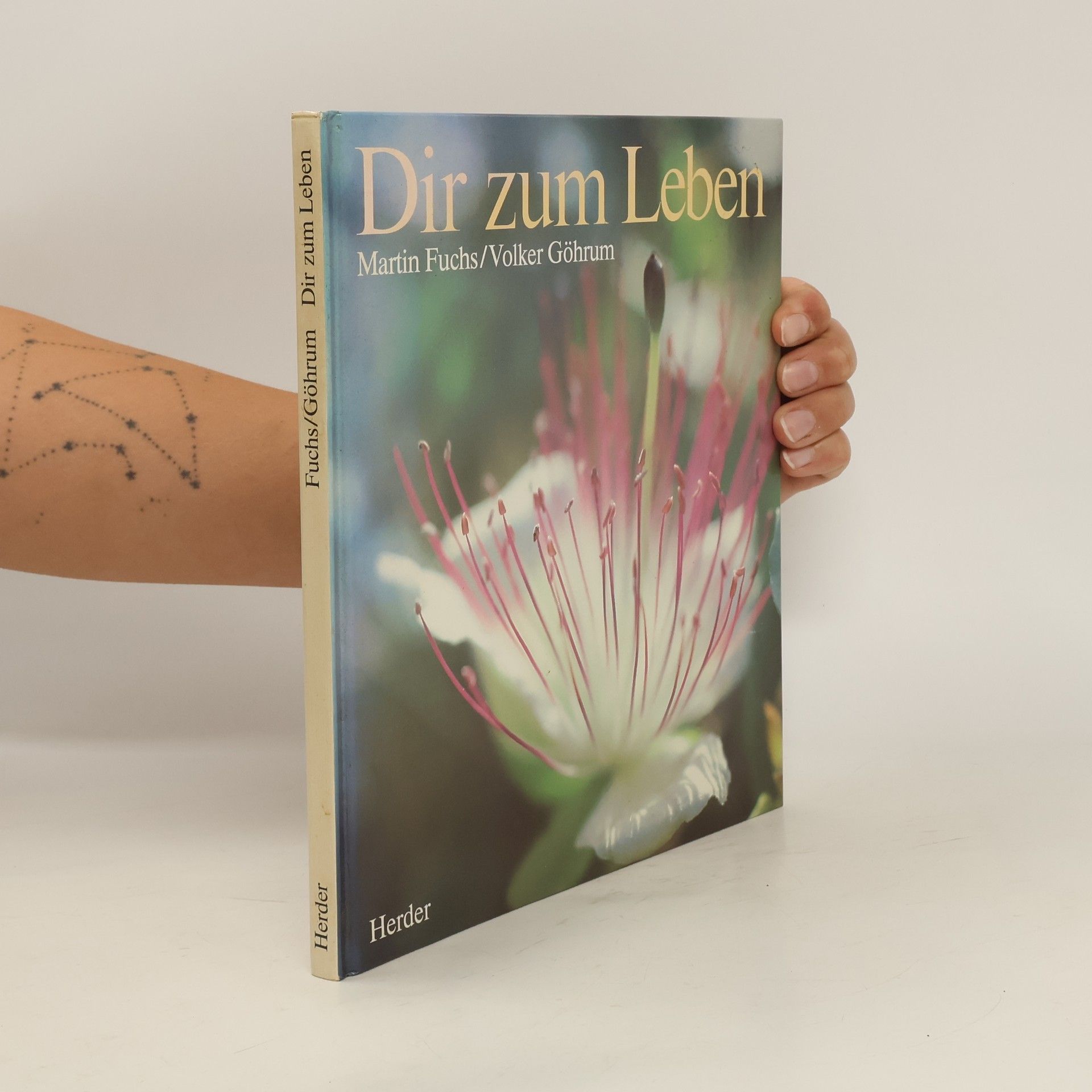 Martin Fuchs Dir zum Leben