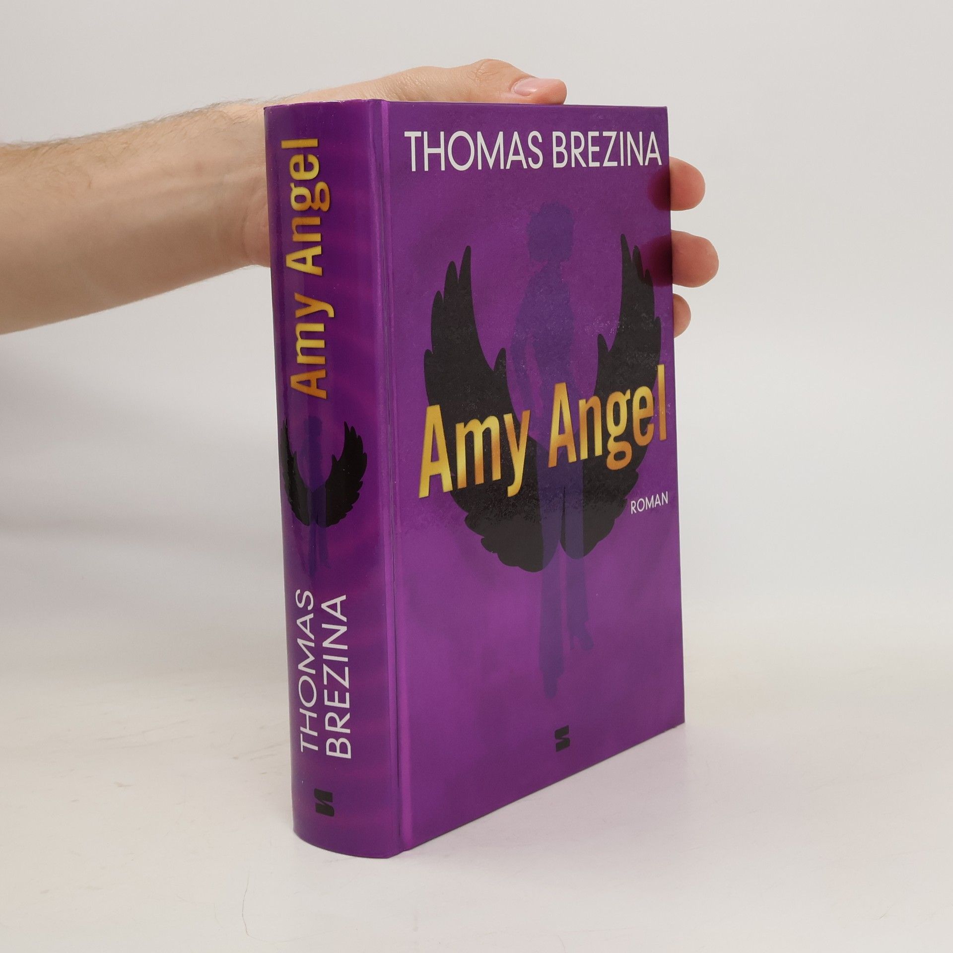 Thomas Brezina Amy Angel