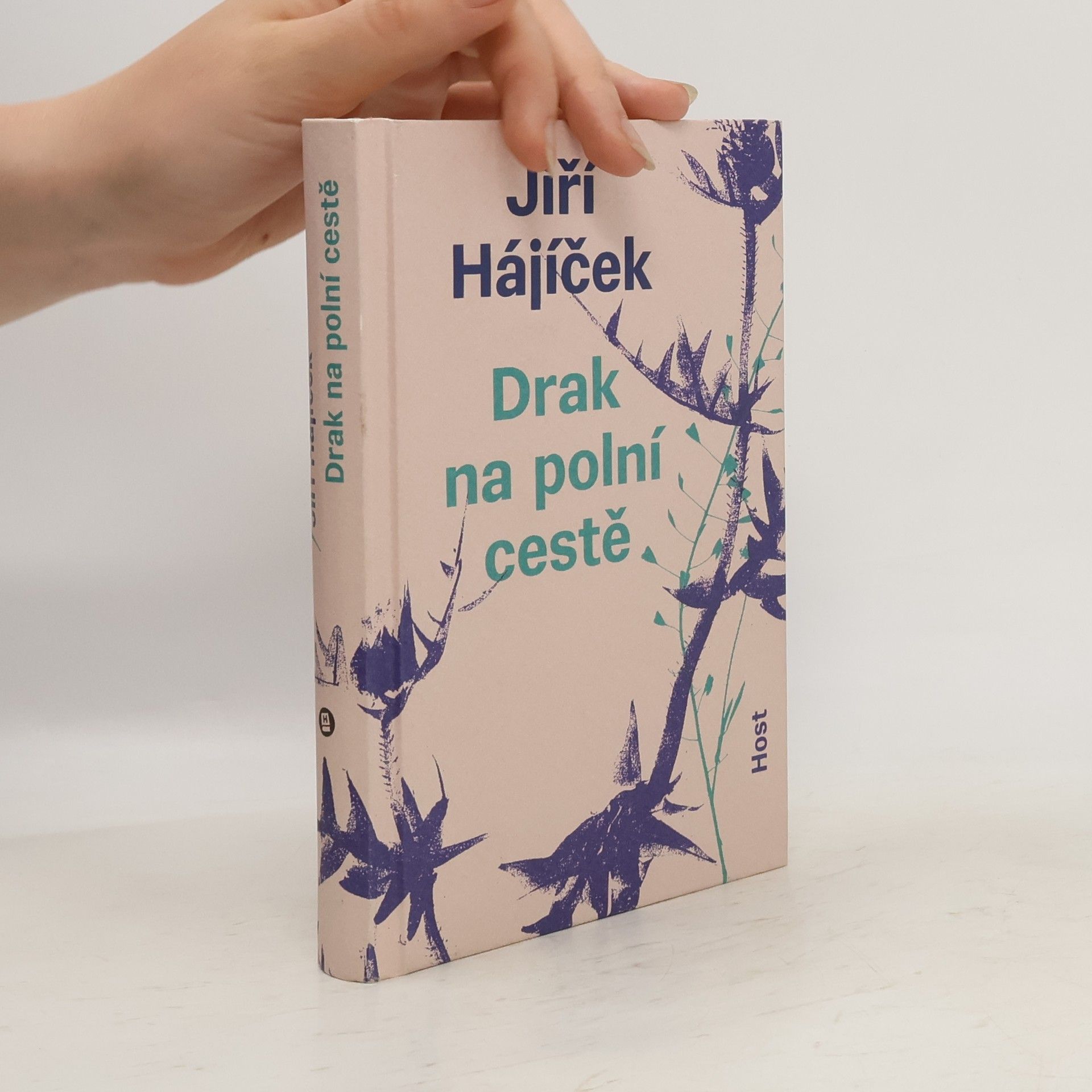 Jiří Hájíček Drak na polní cestě