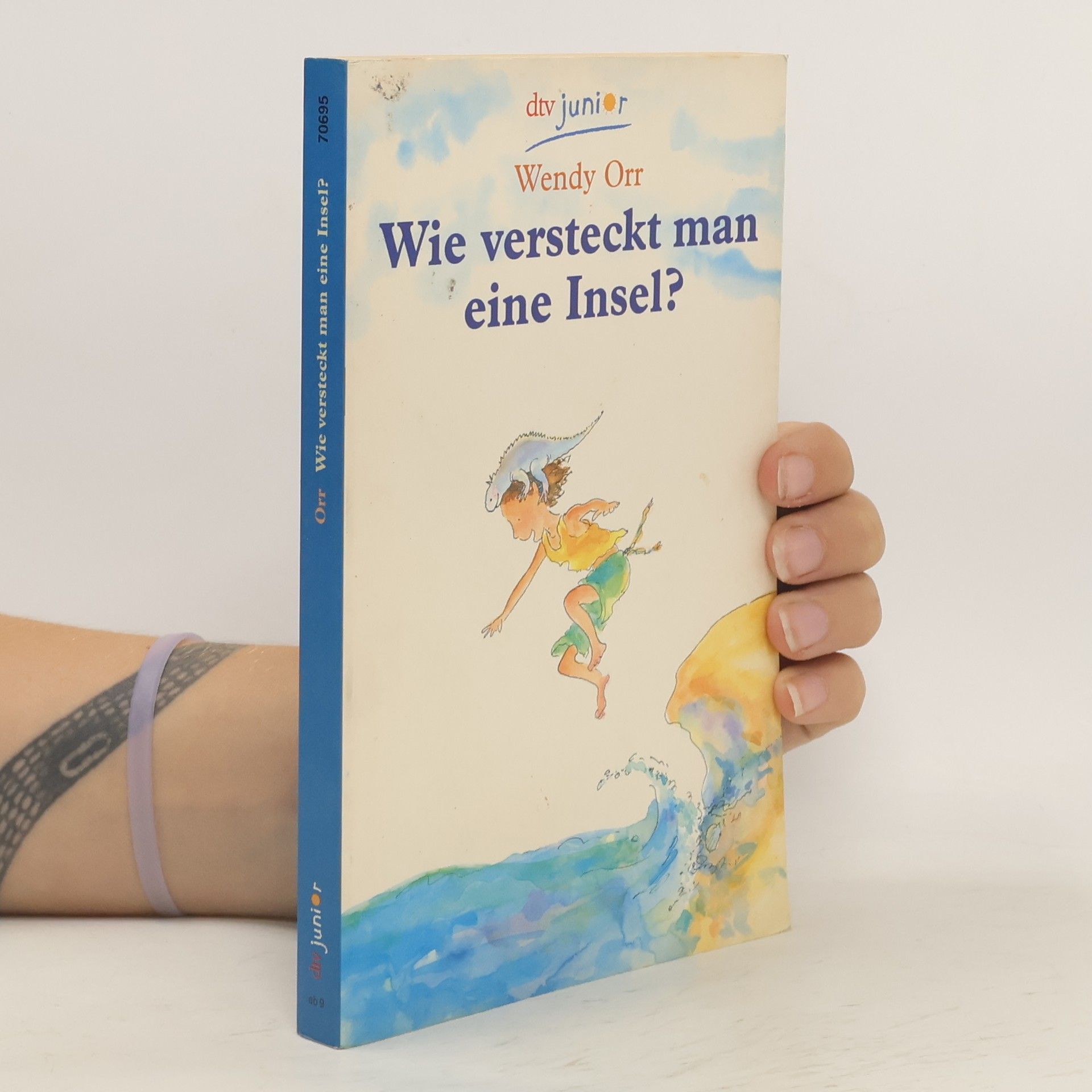 Wendy Orr Wie versteckt man eine Insel?