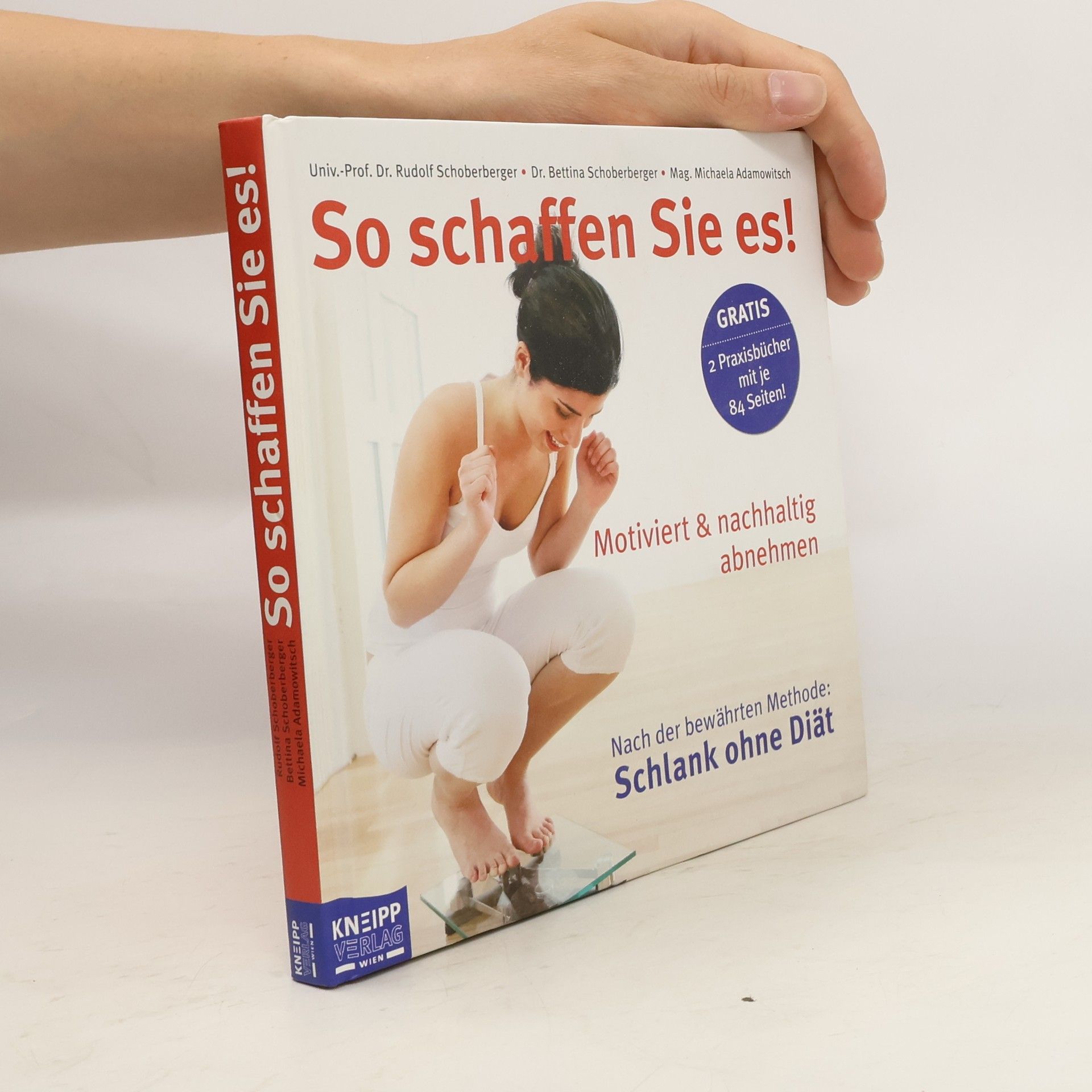 Rudolf Schoberberger So schaffen Sie es!