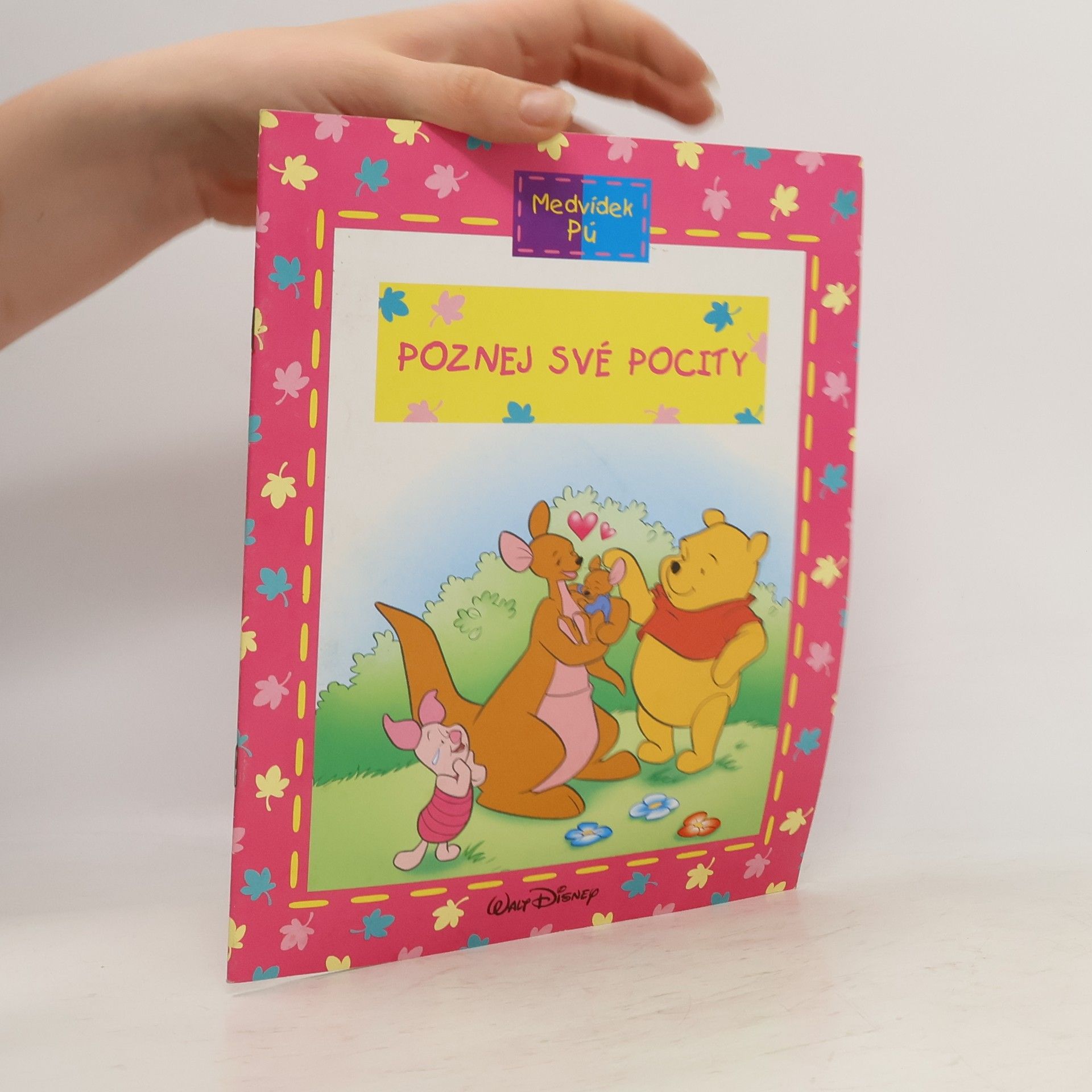 Walt Disney Medvídek Pú - Poznej své pocity