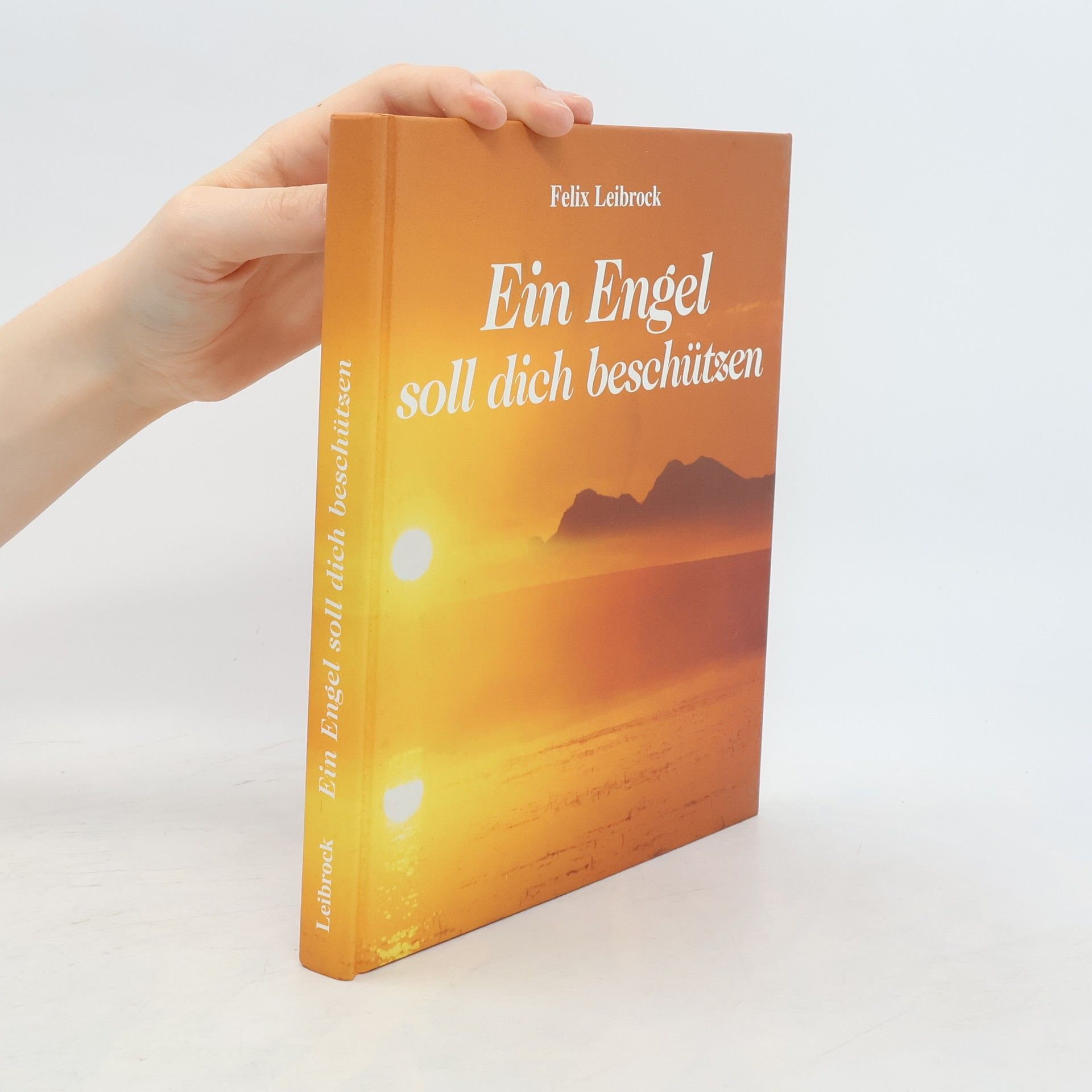 Felix Leibrock Ein Engel soll dich beschützen