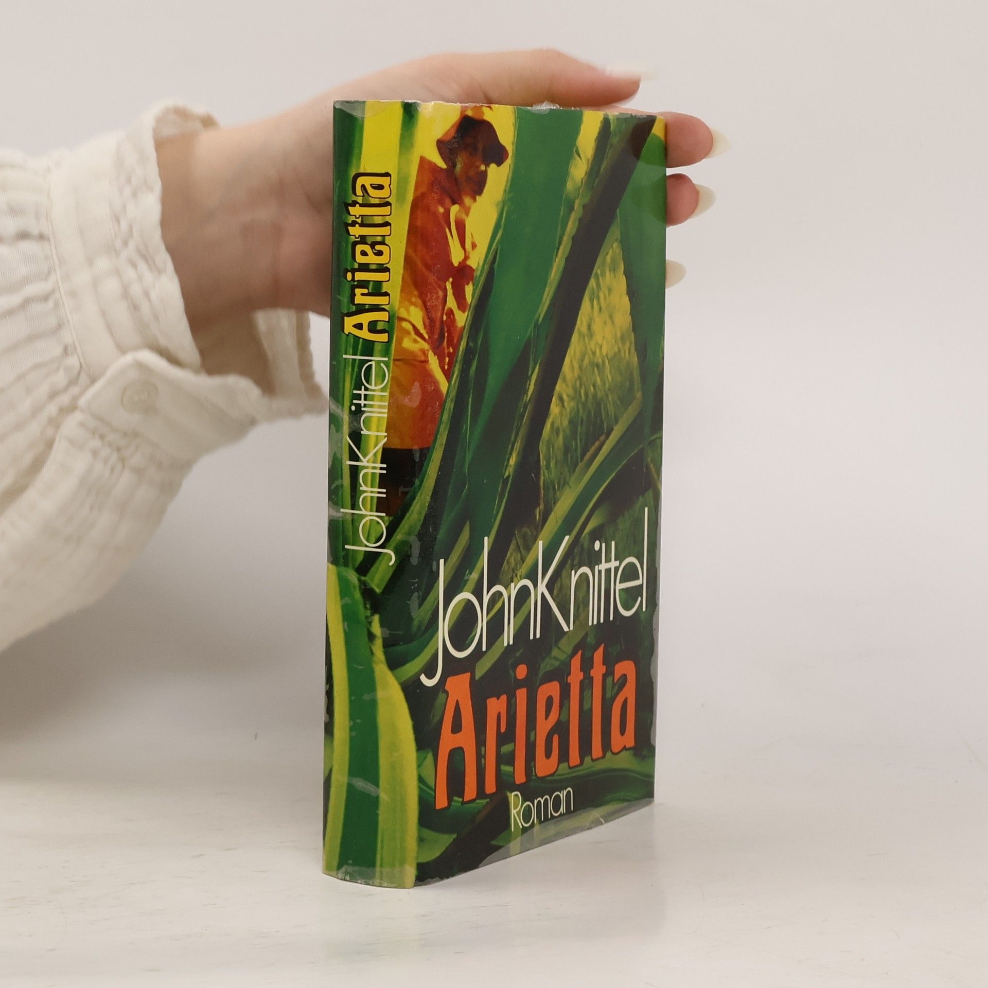 John Knittel  Arietta