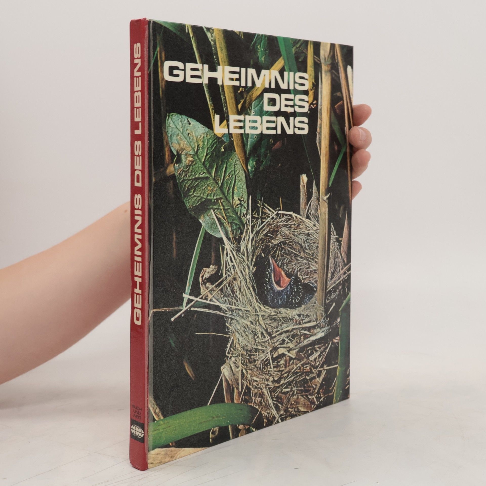 Collectif d'auteurs Geheimnis des Lebens