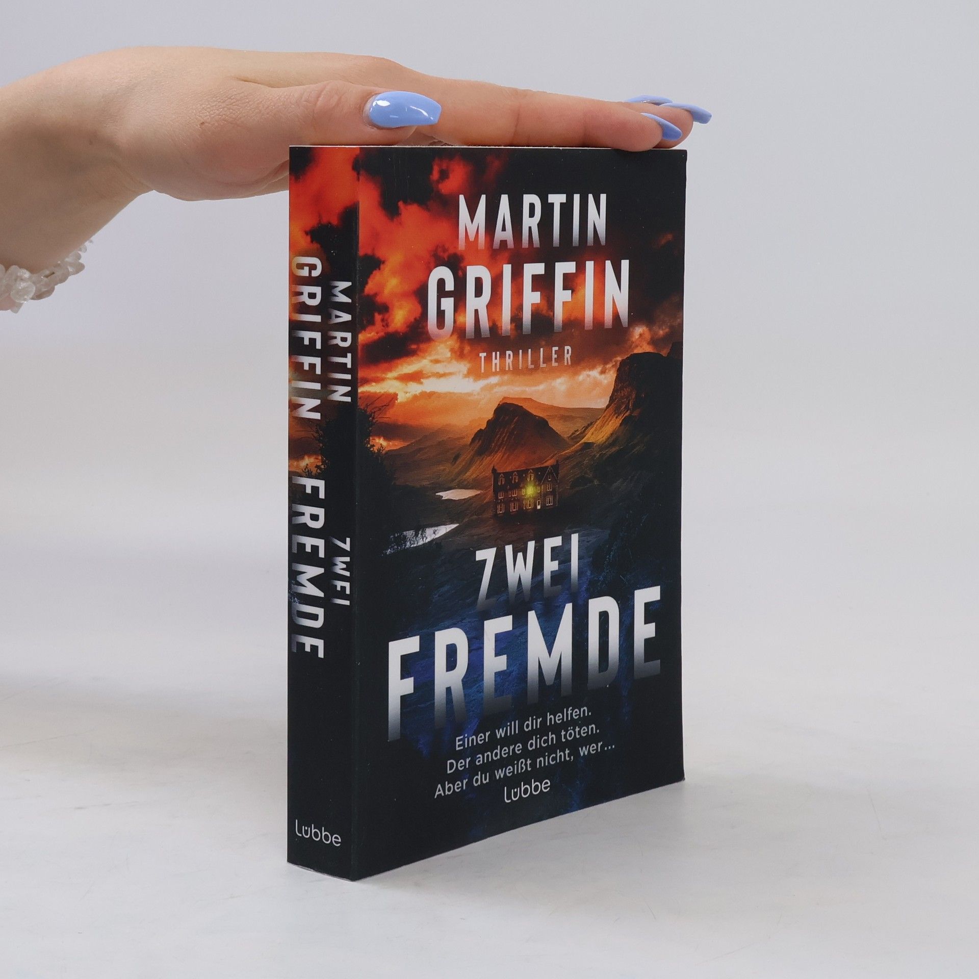 Martin Griffin Zwei Fremde