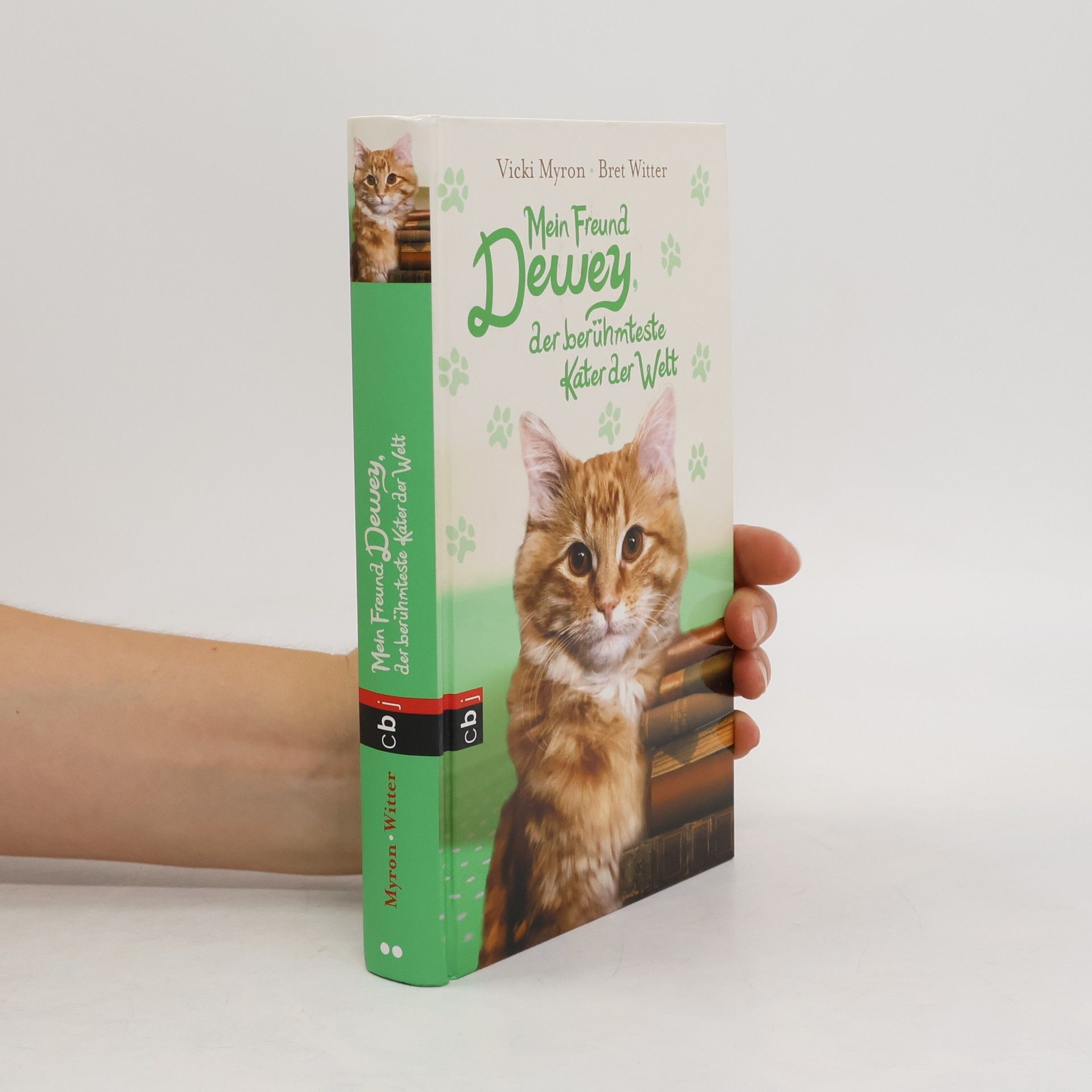 Vicki Myron Mein Freund Dewey, der berühmteste Kater der Welt