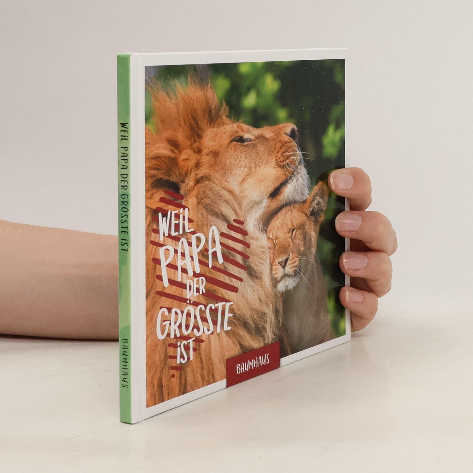 Autorenkollektiv Weil Papa der Größte ist
